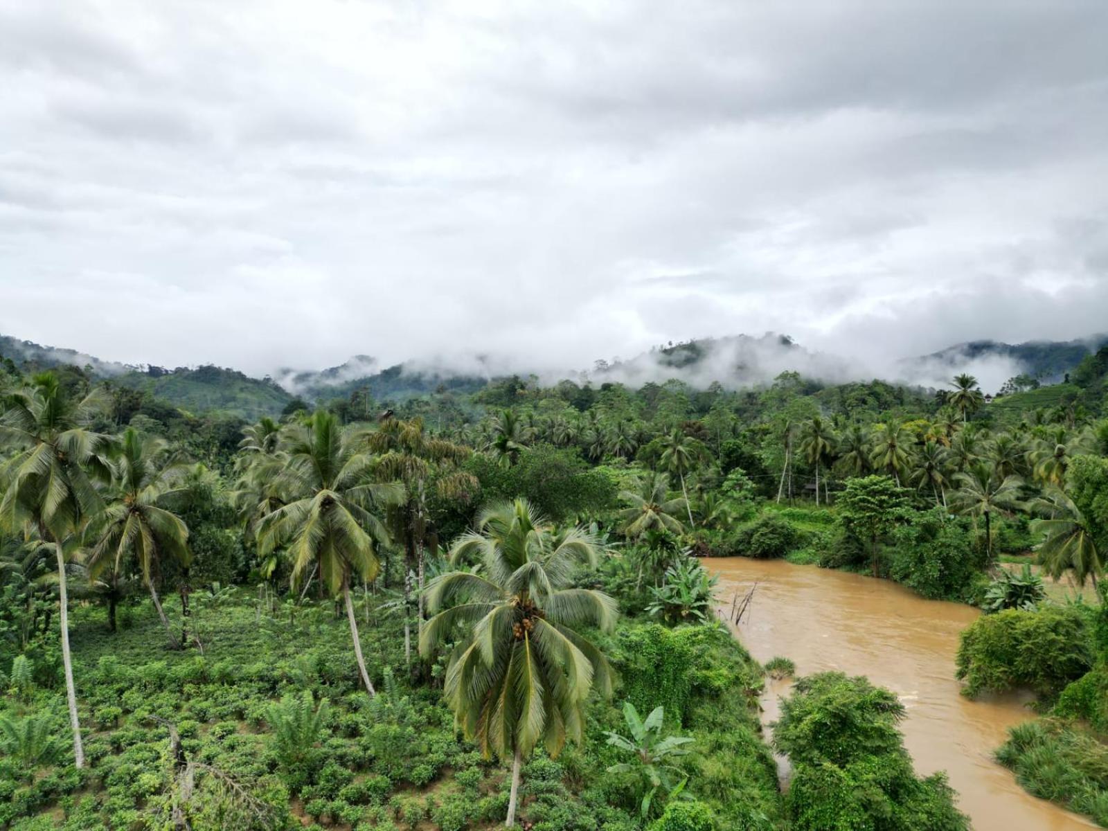 Sinharaja Hostel 114
