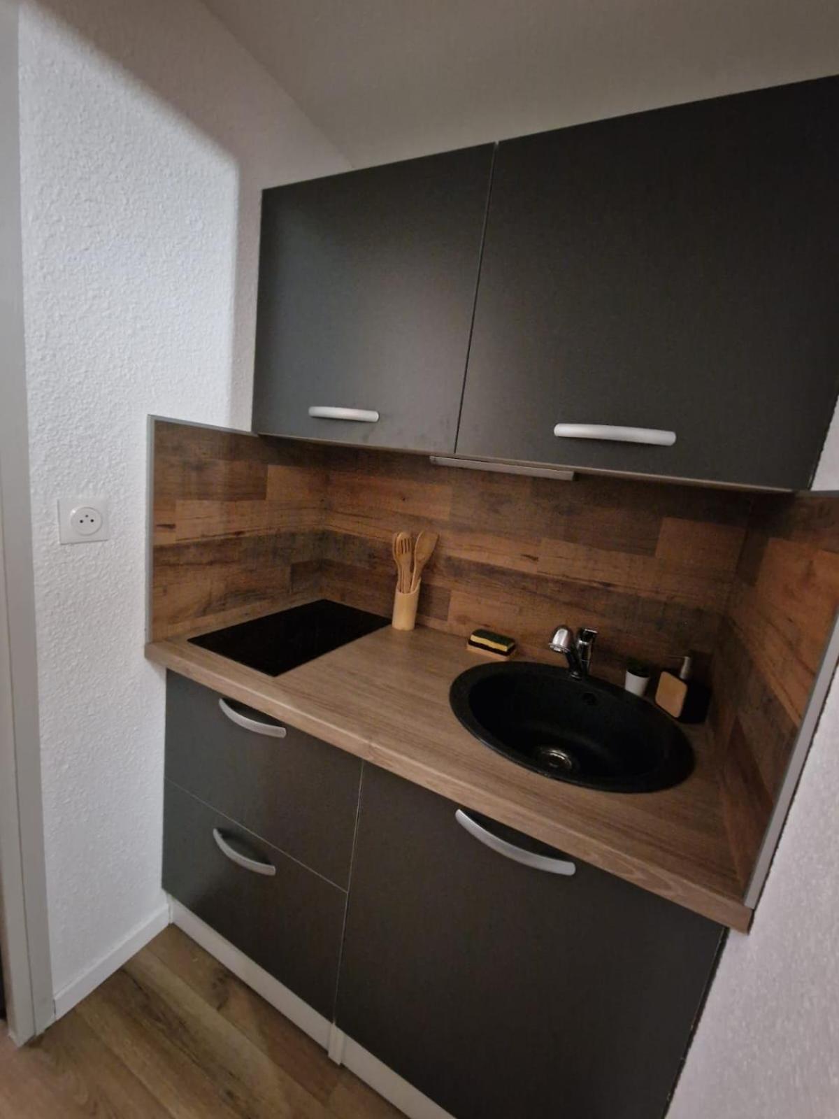 Studio cosy au pied des pistes
