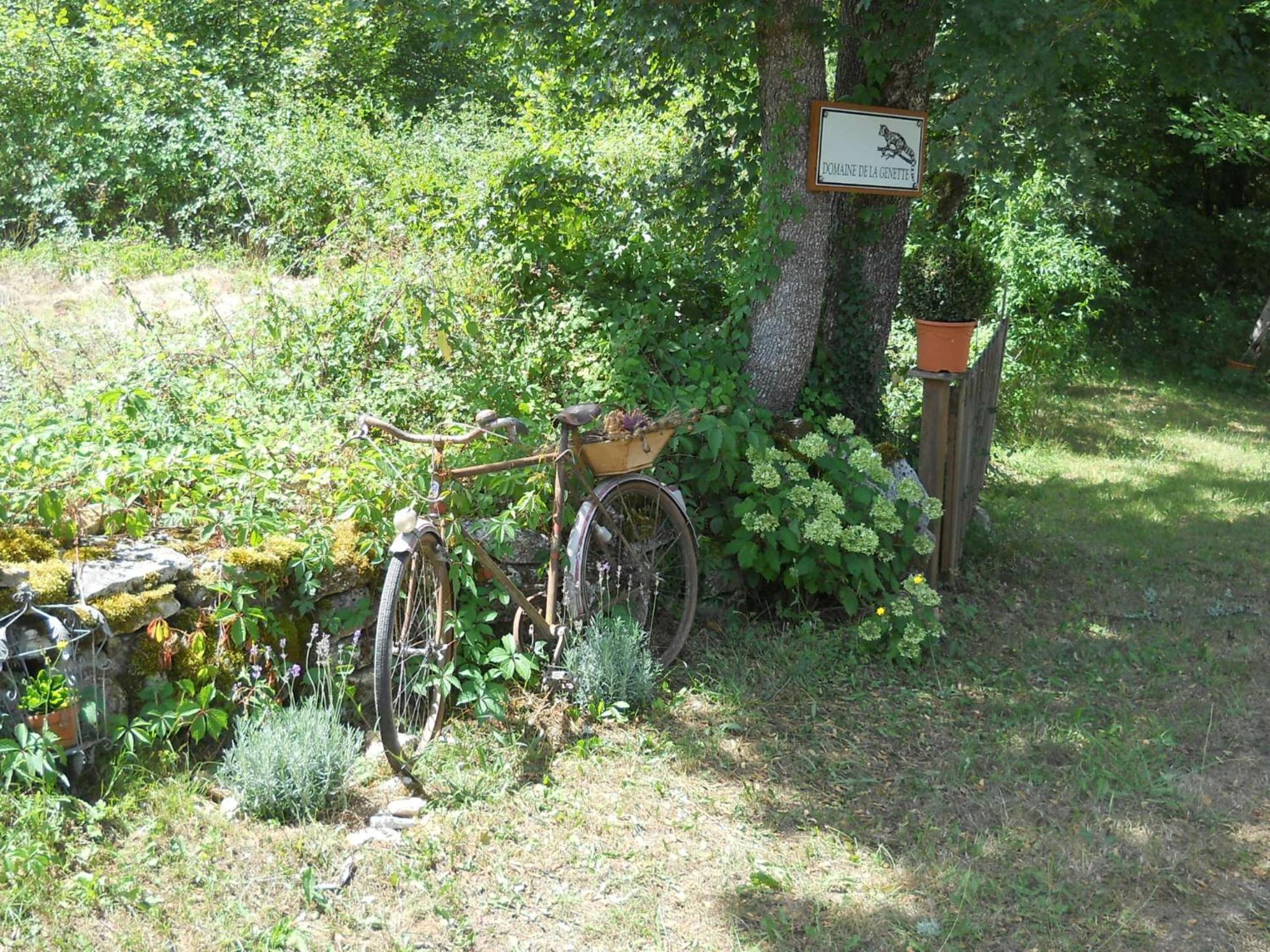 Le Domaine De La Genette view 4