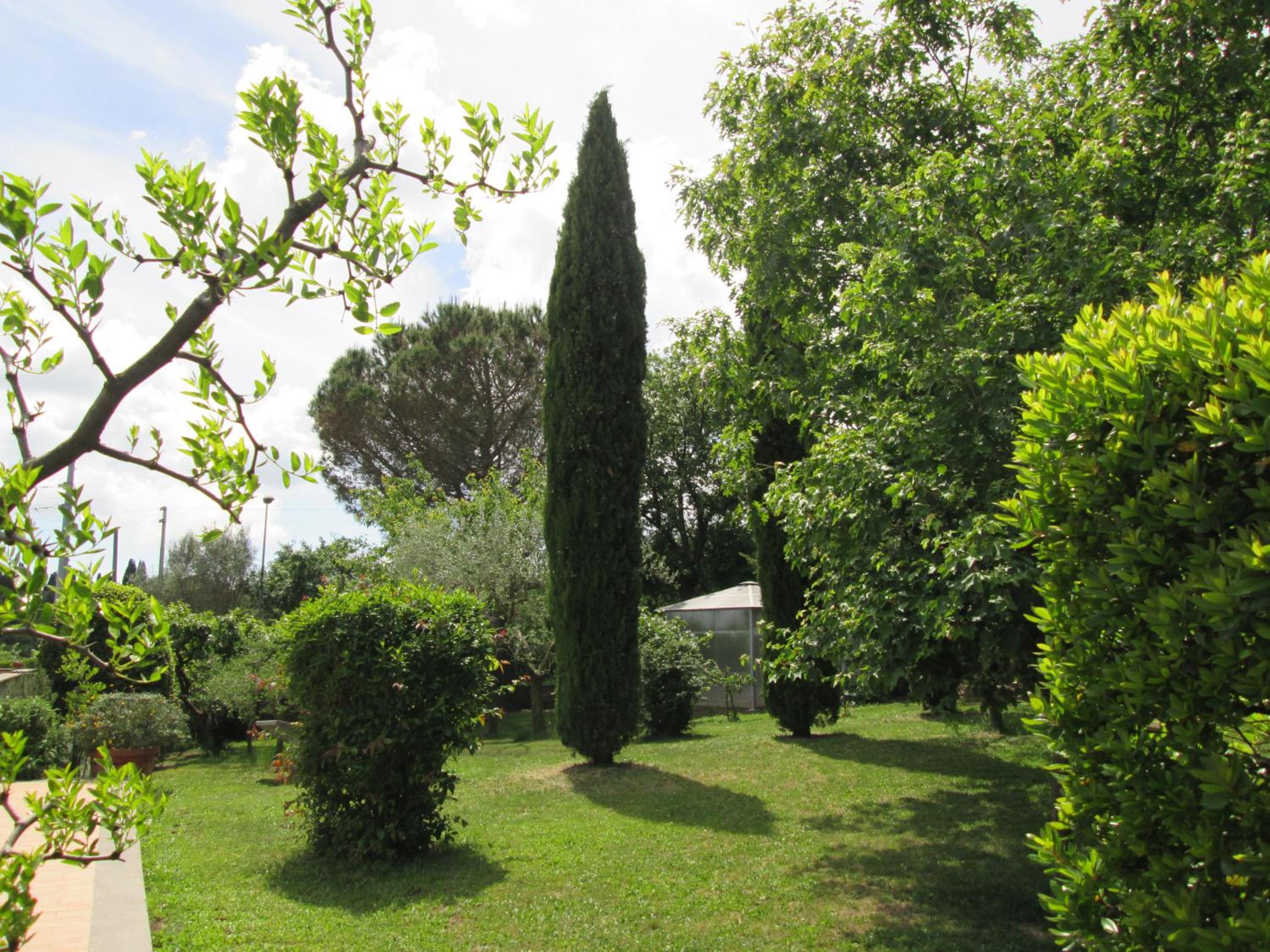 Photo 35