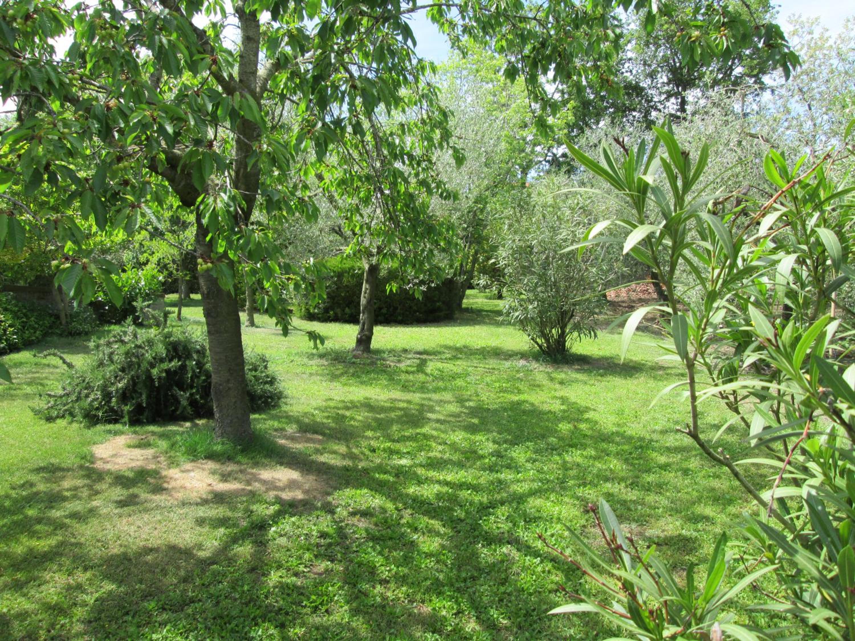 Photo 28
