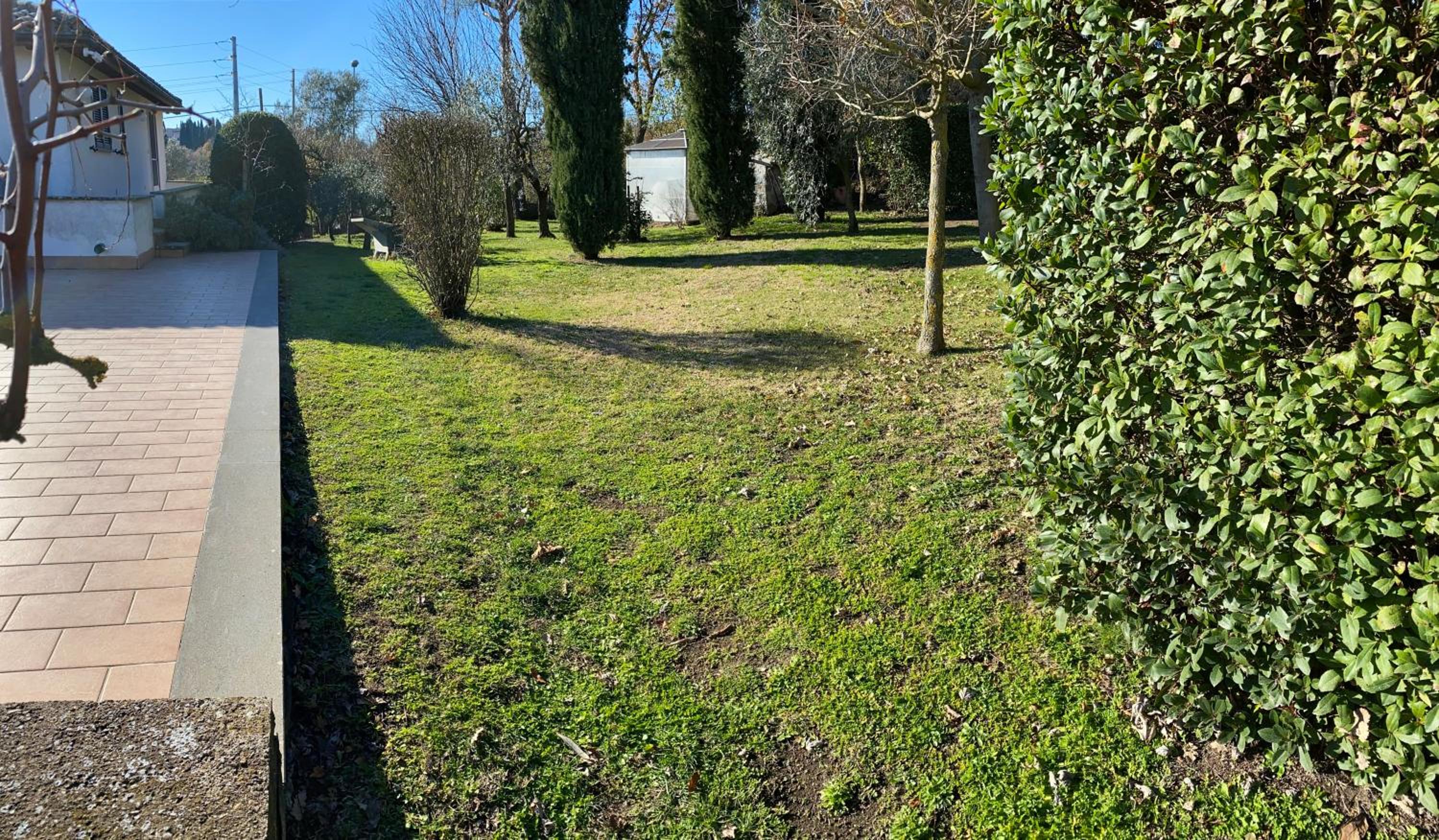 Photo 36