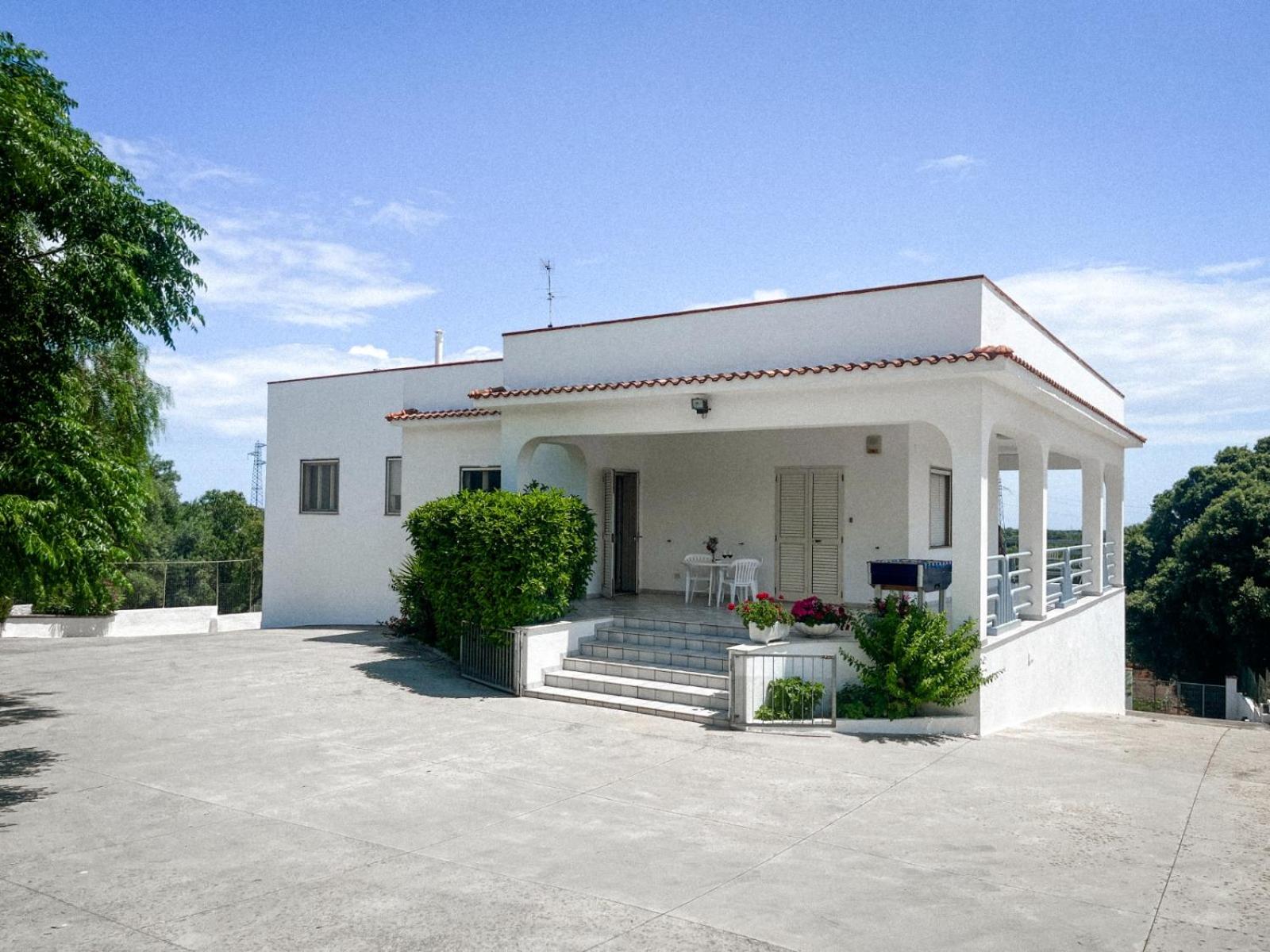 Villa Mediterranea tra gli ulivi view 2