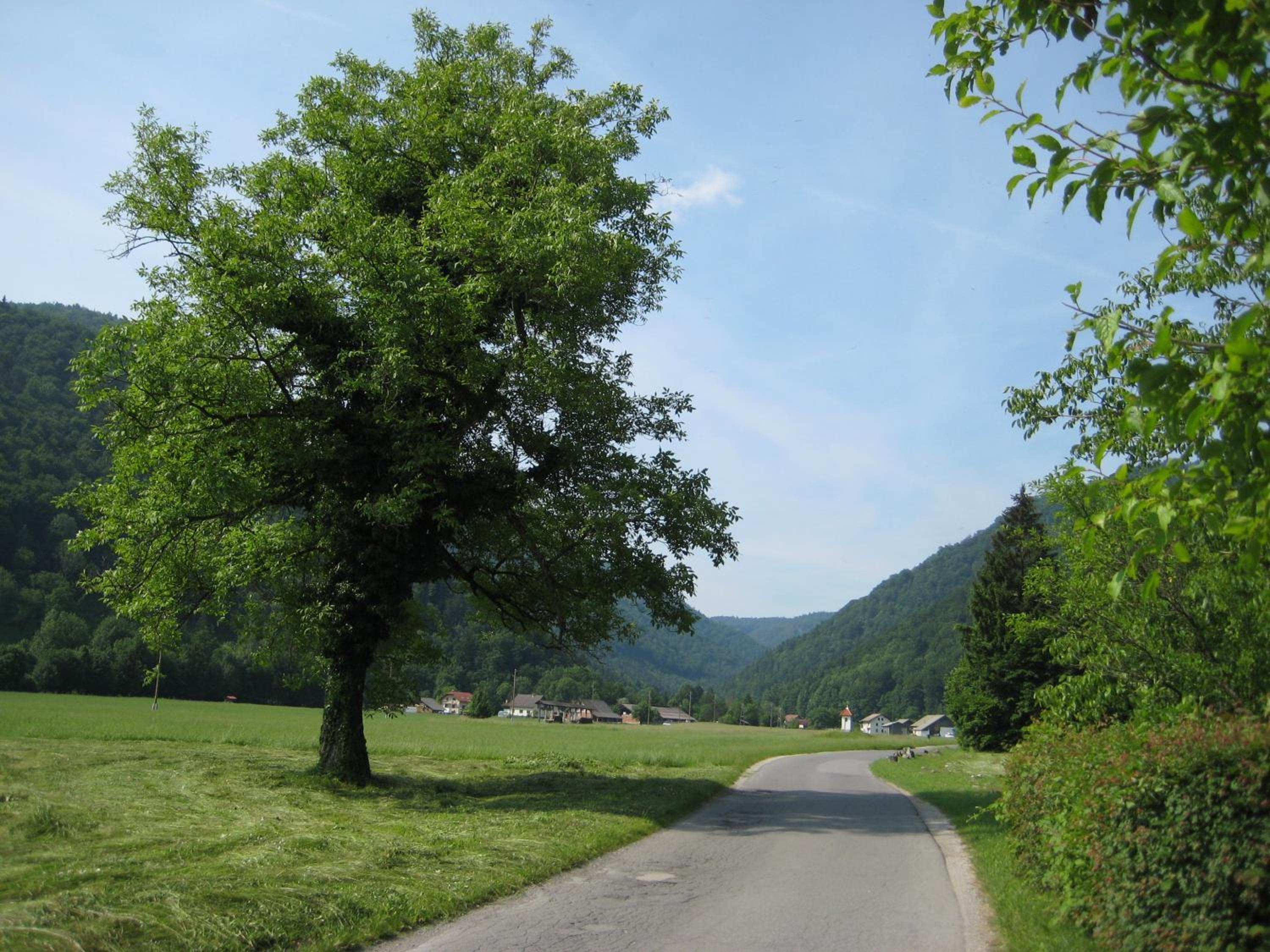 Photo 26