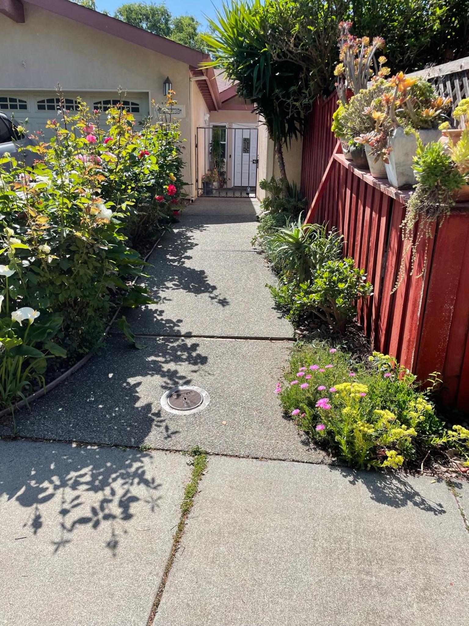 Best of Davis - for you and your pet!