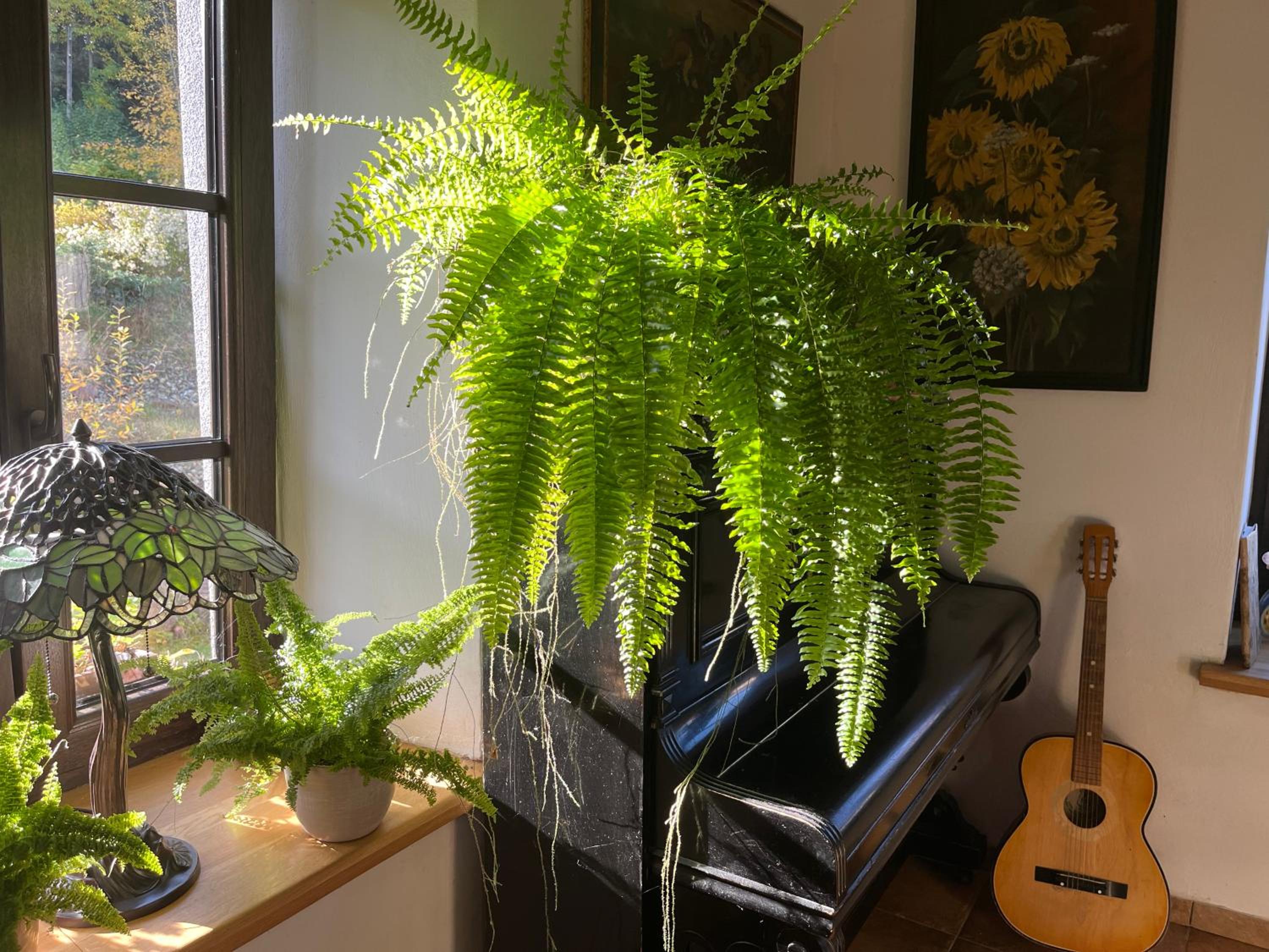 Photo 59