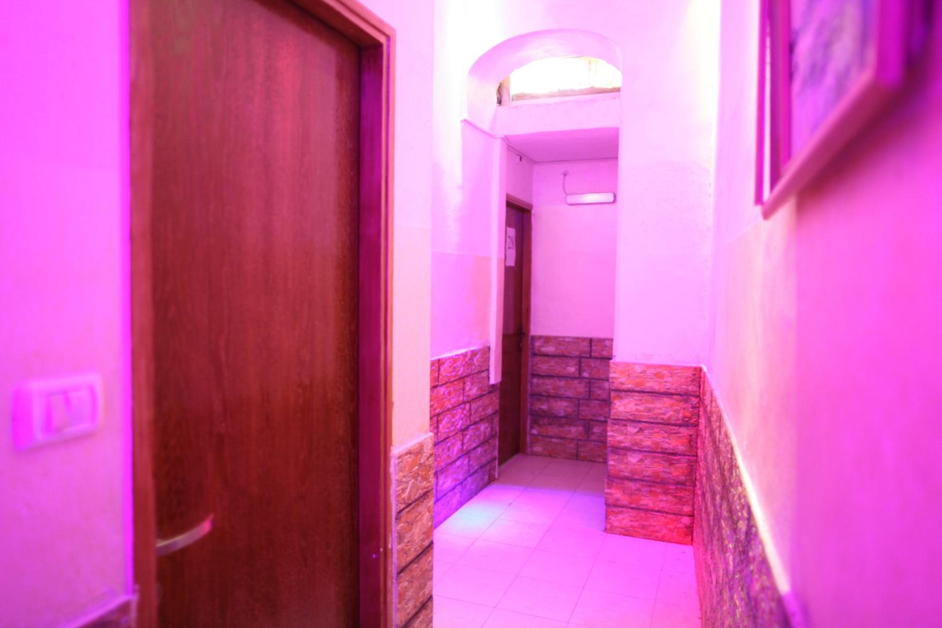 Photo 48