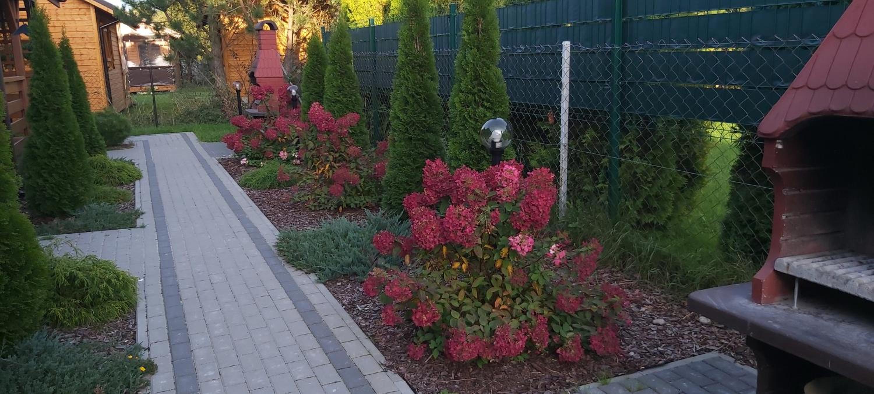 Photo 39