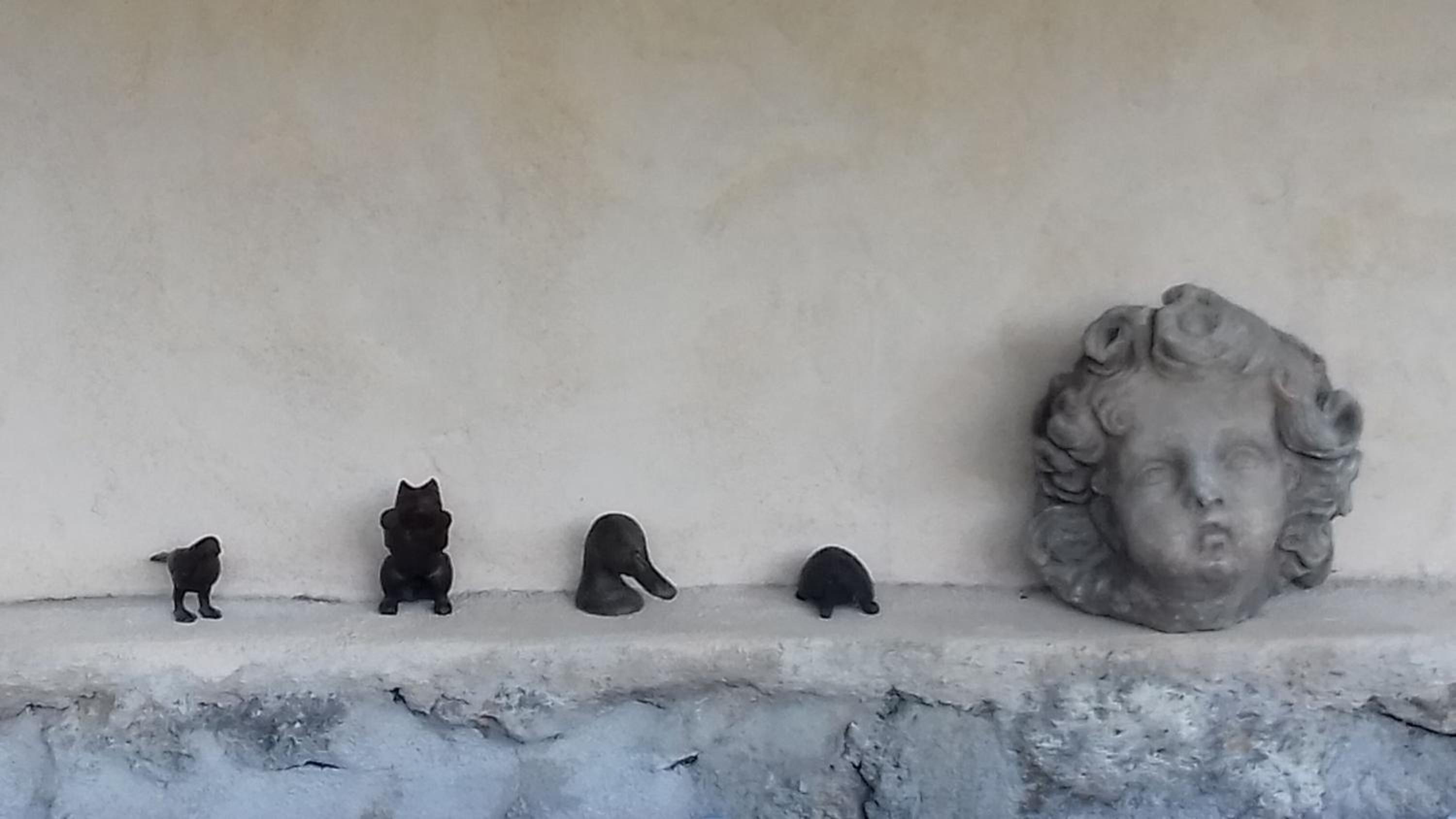 Le Chat Sur Le Toit
