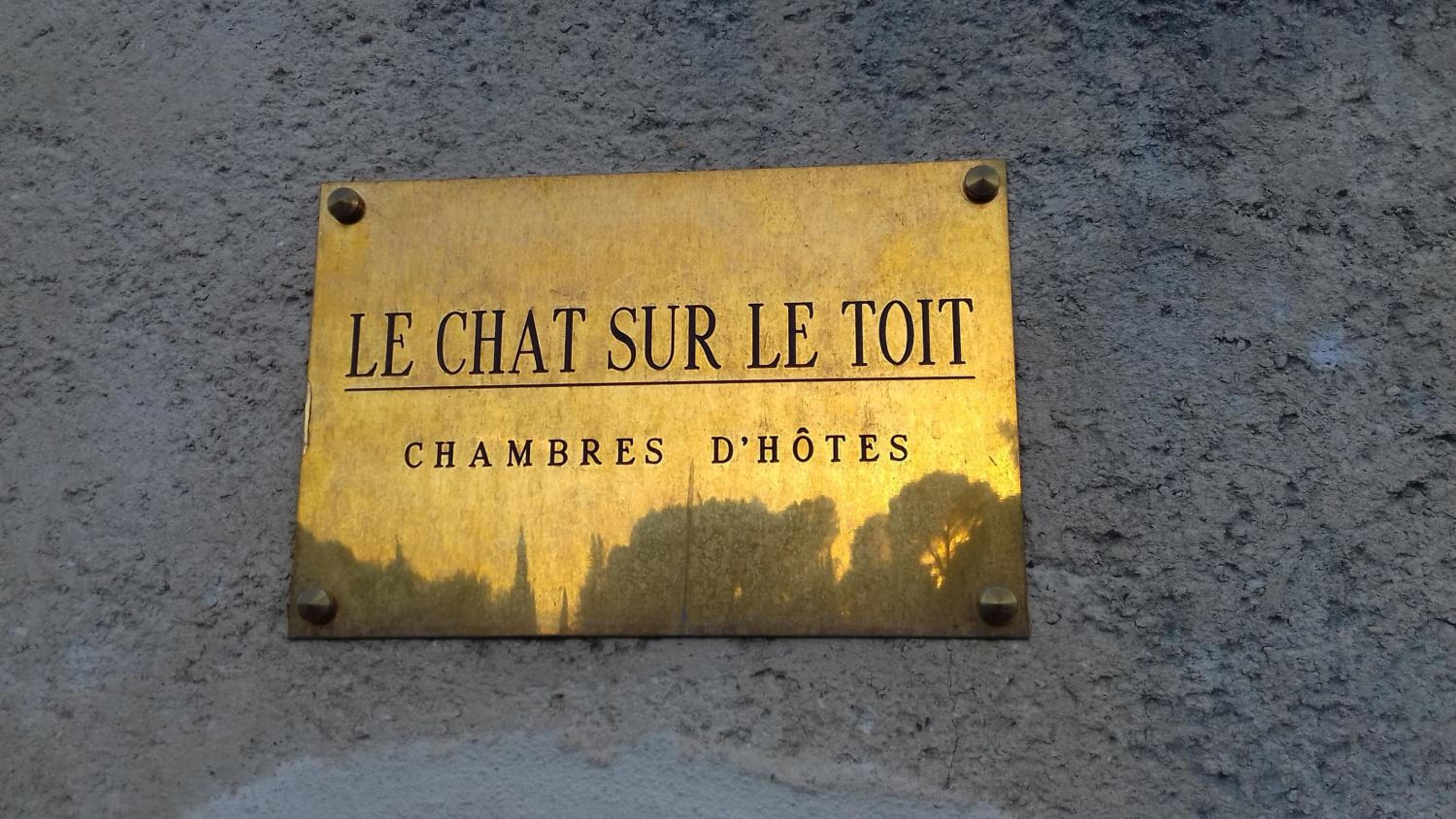 Le Chat Sur Le Toit