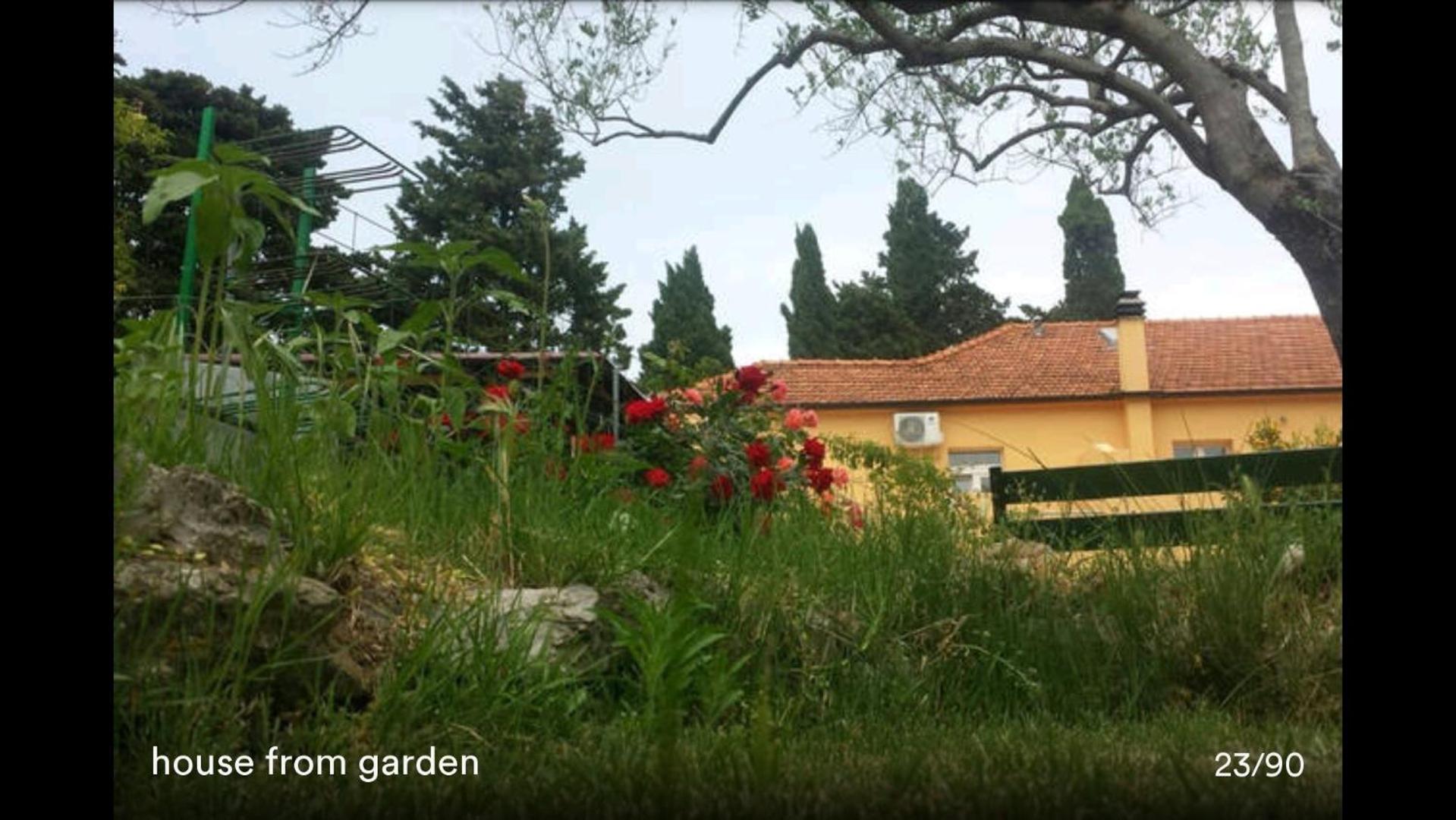 Apartments PHARIA — photo 51