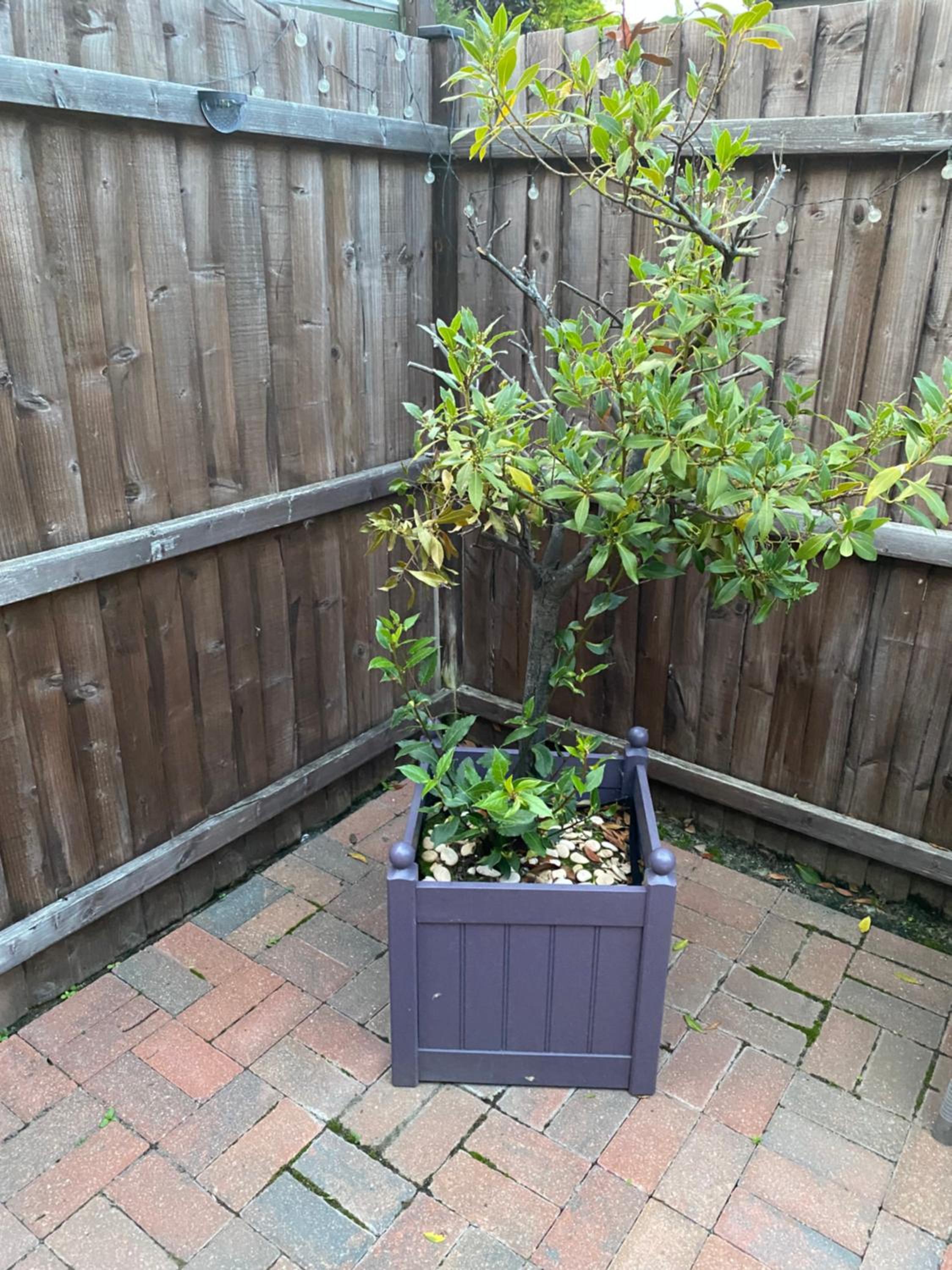 Photo 14