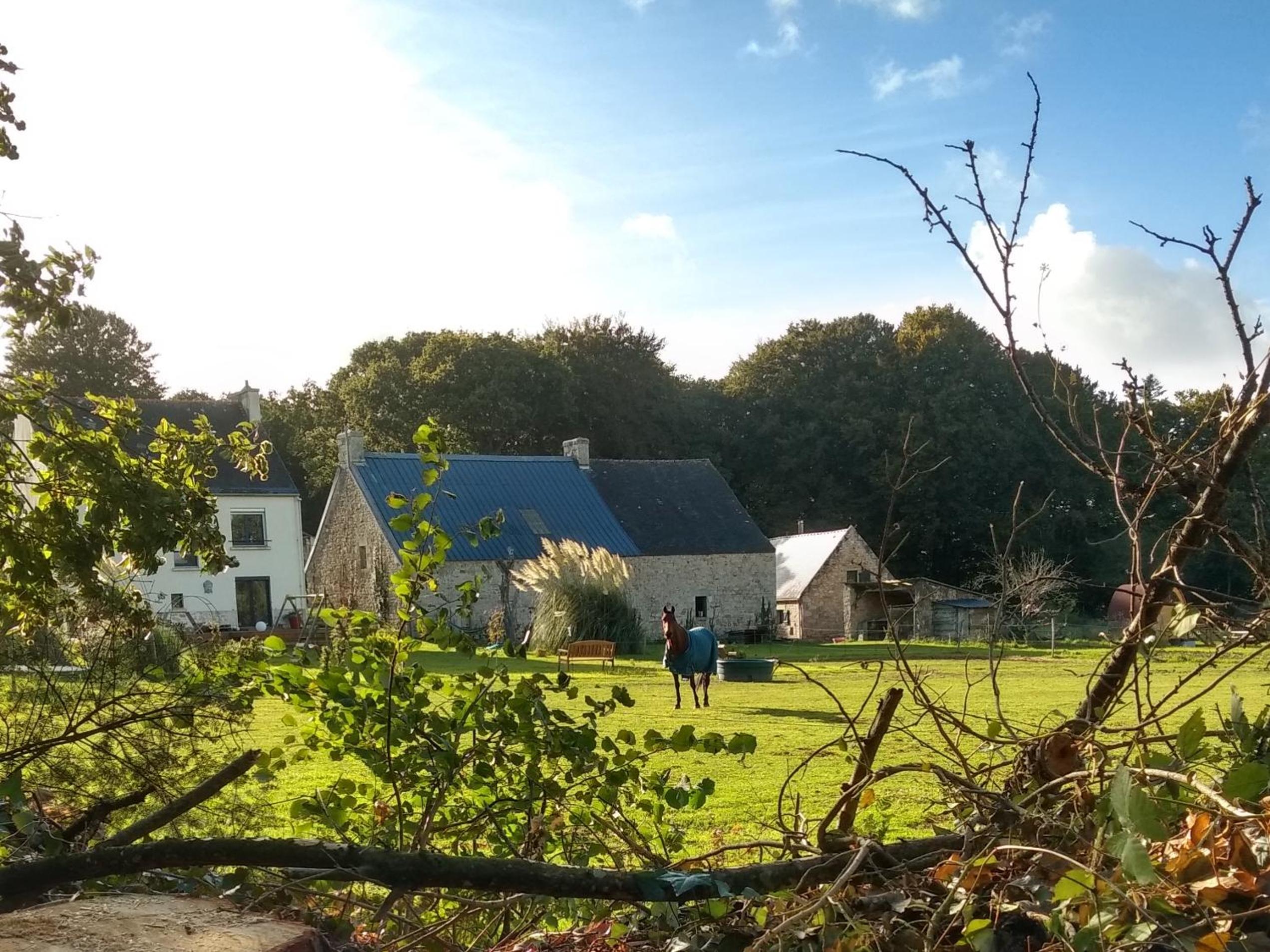 Le Domaine de Kerampape, gîte accessible, vignoble en Finistère sud
