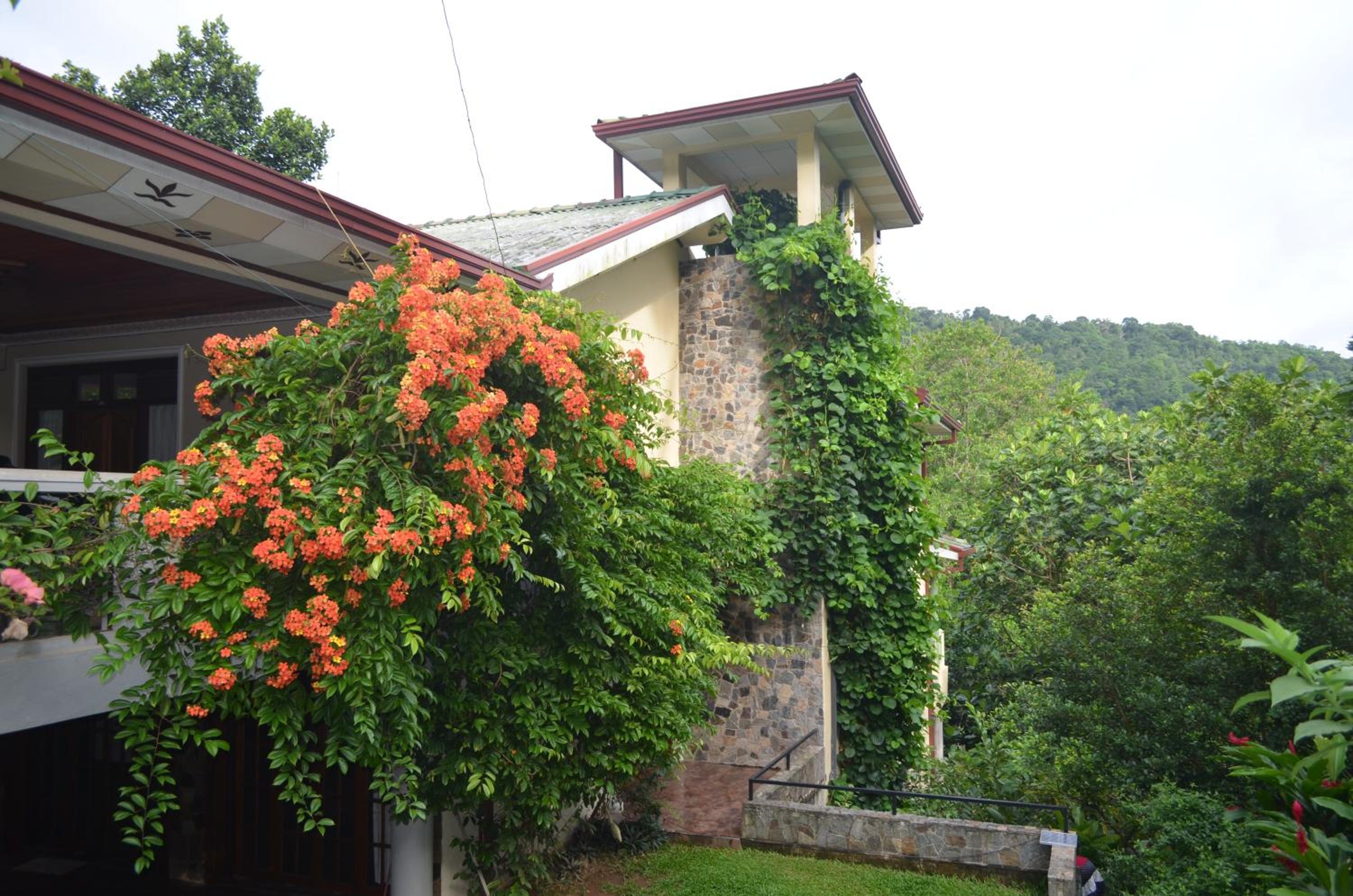 Country House Hillside