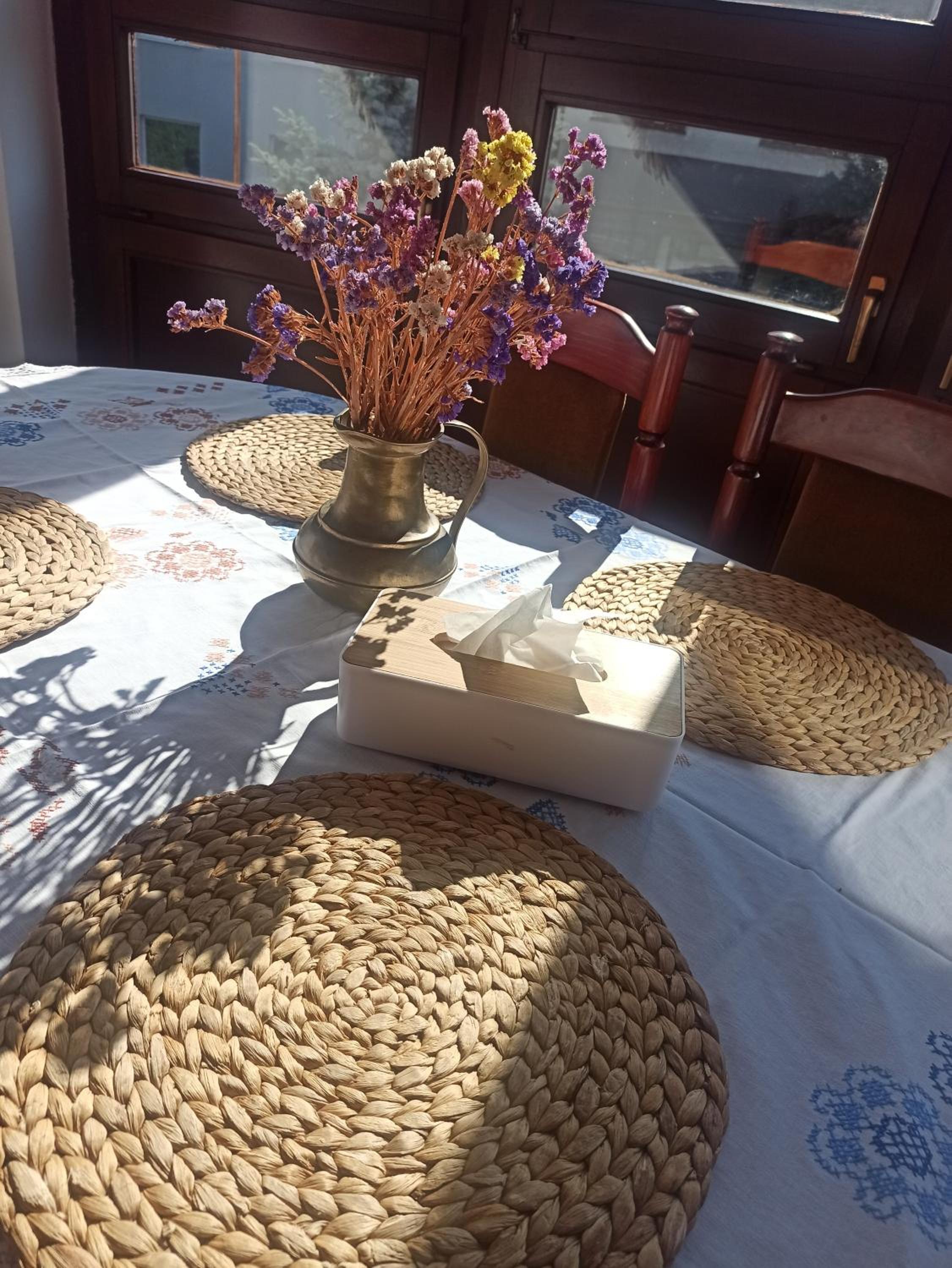 Hotel-hostel Saska