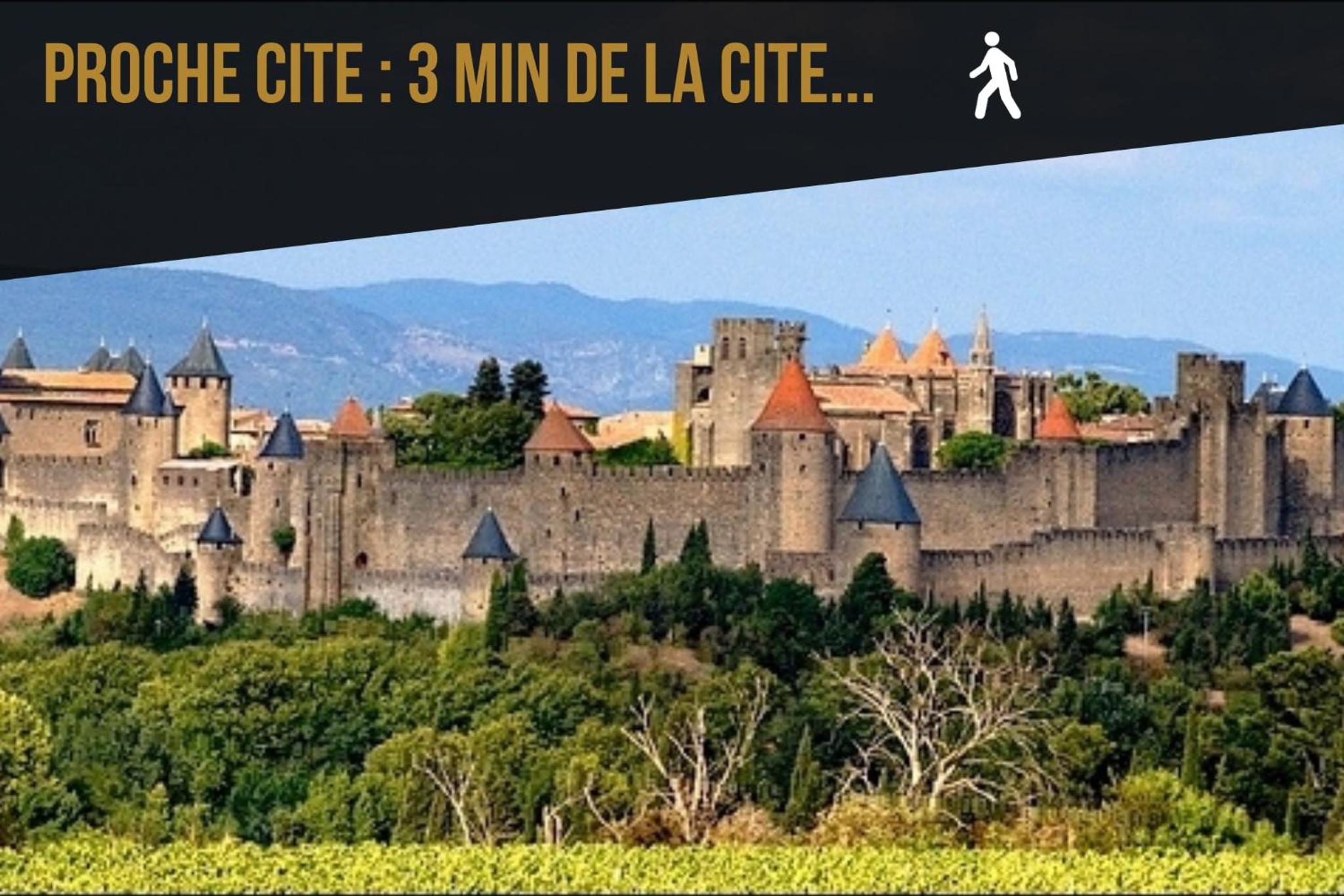 L'Or Vert, CASTLE VIEW, PRIVATE parking, Air conditioner, Netflix, 160m from medieval town