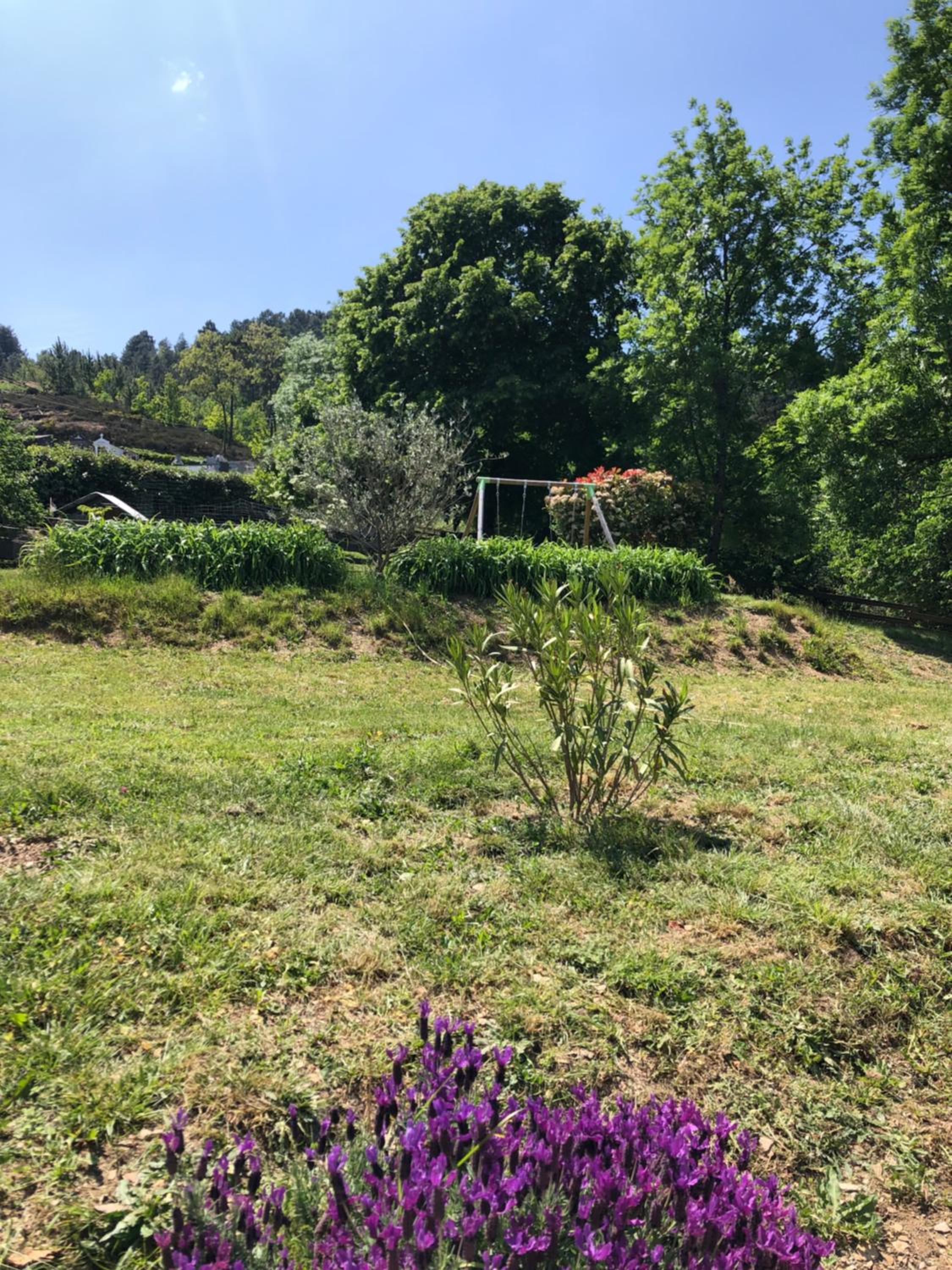 Mas la Tabatière view 2
