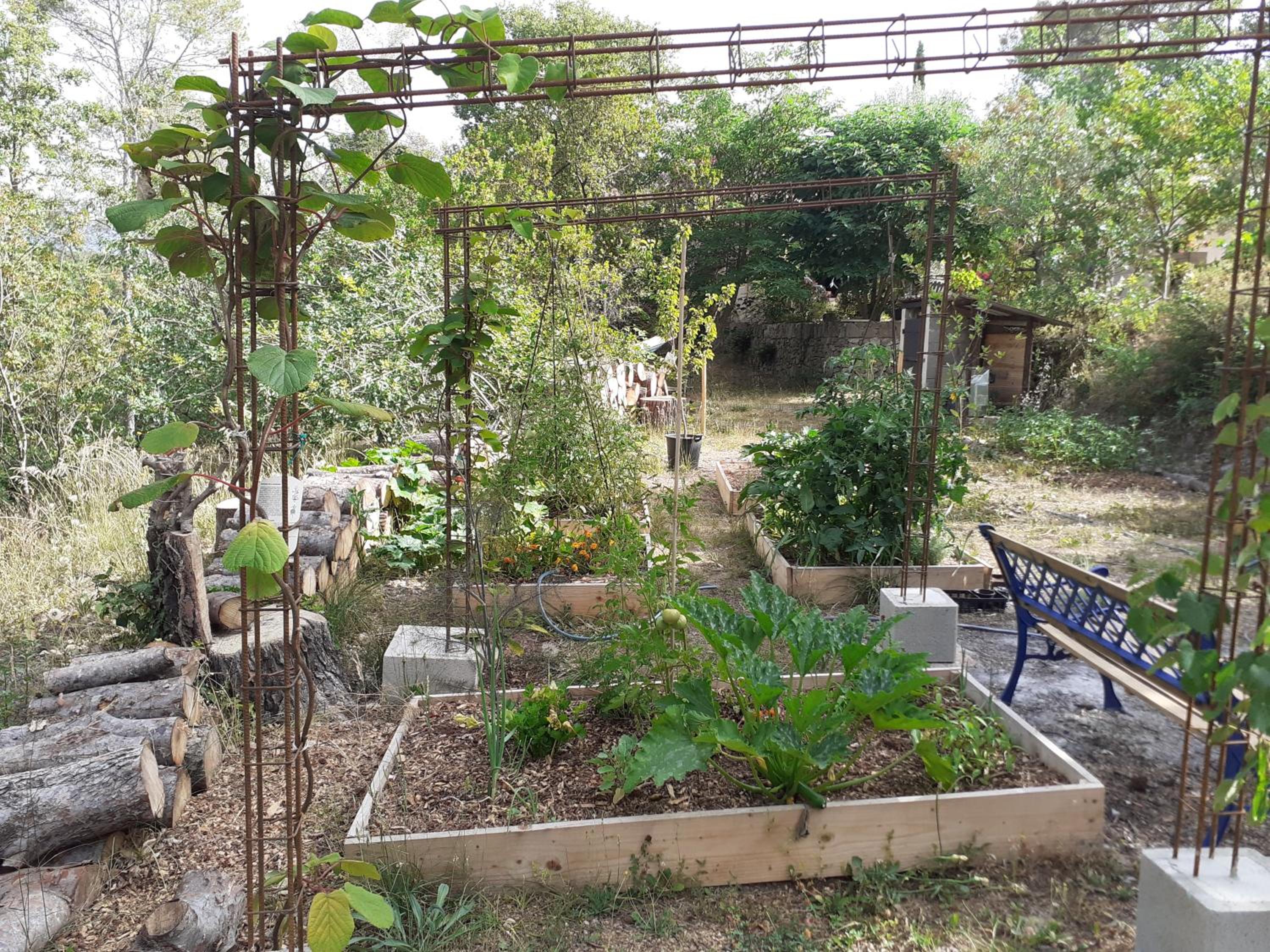 Photo 45