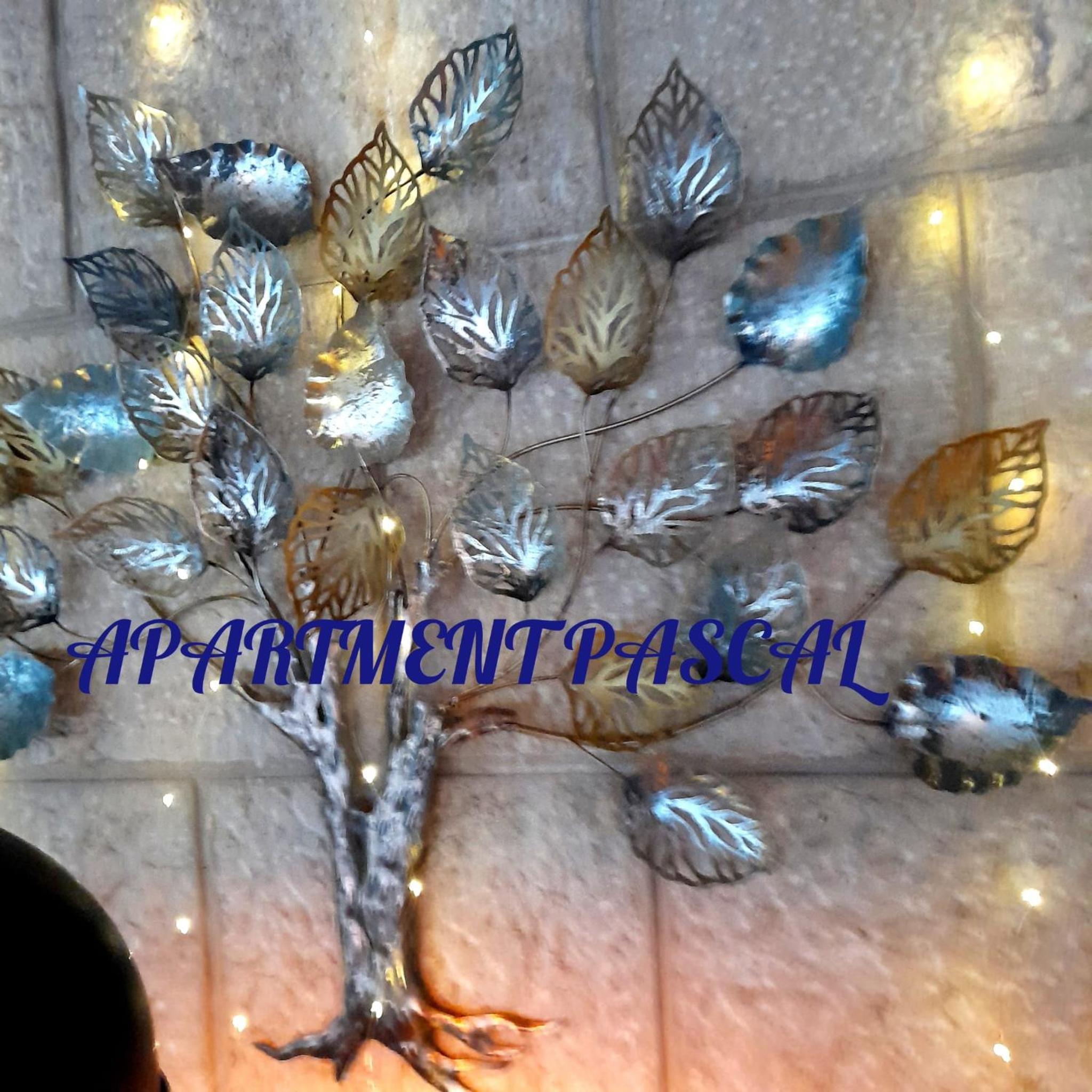 Photo 63