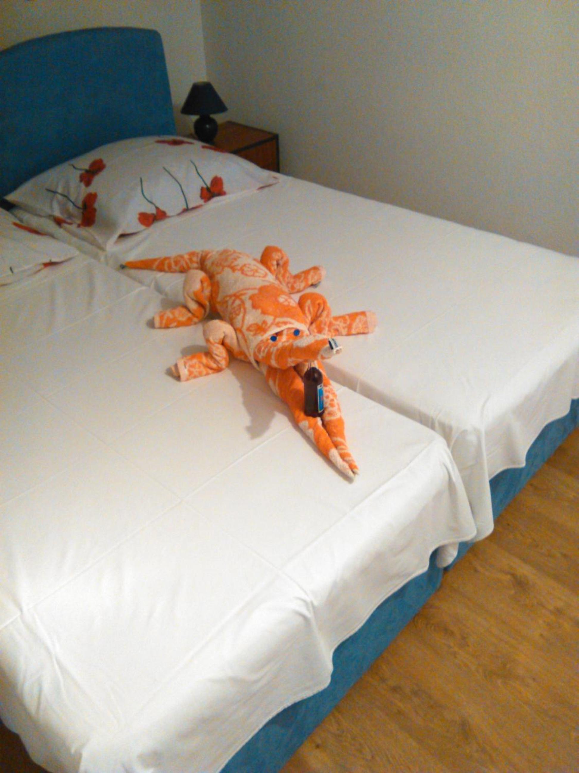 Photo 38