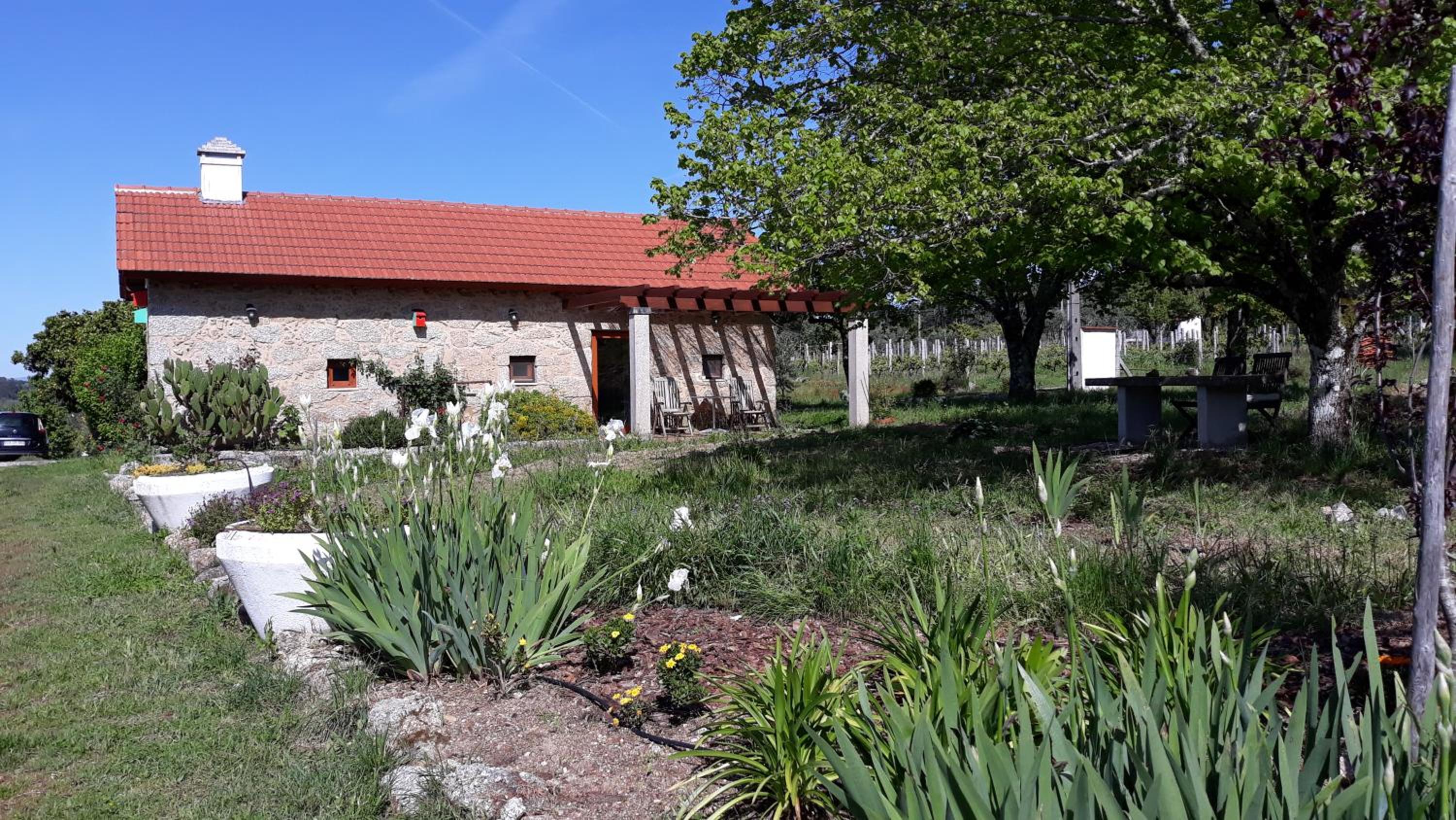 Quinta Vale Porcacho, Photo 65