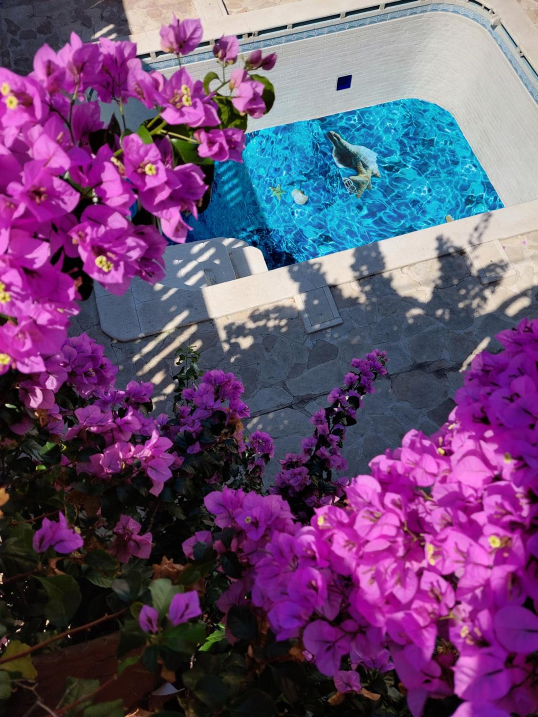 Studios Villa Romantica view 4