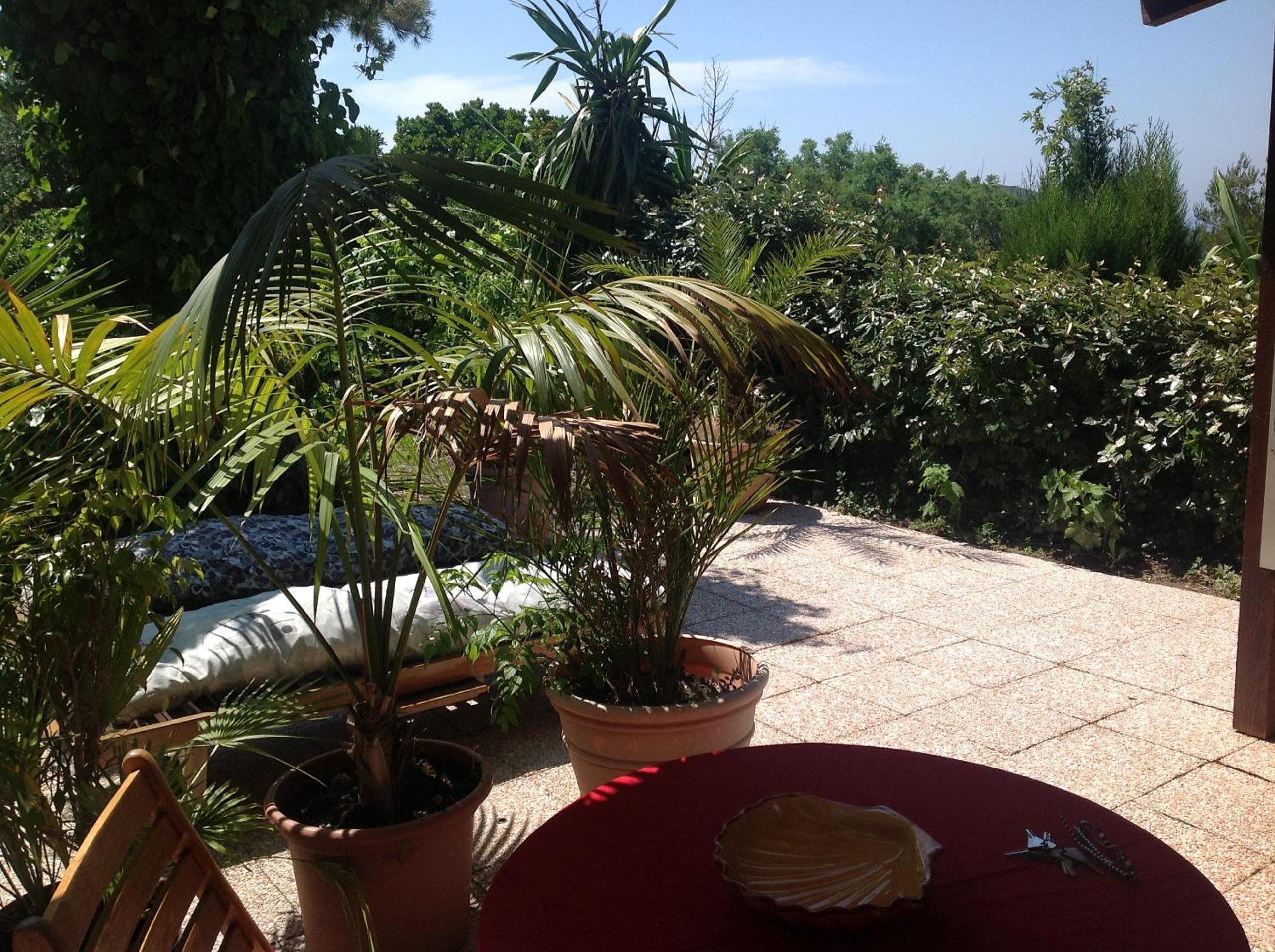 outdoor BBQ area