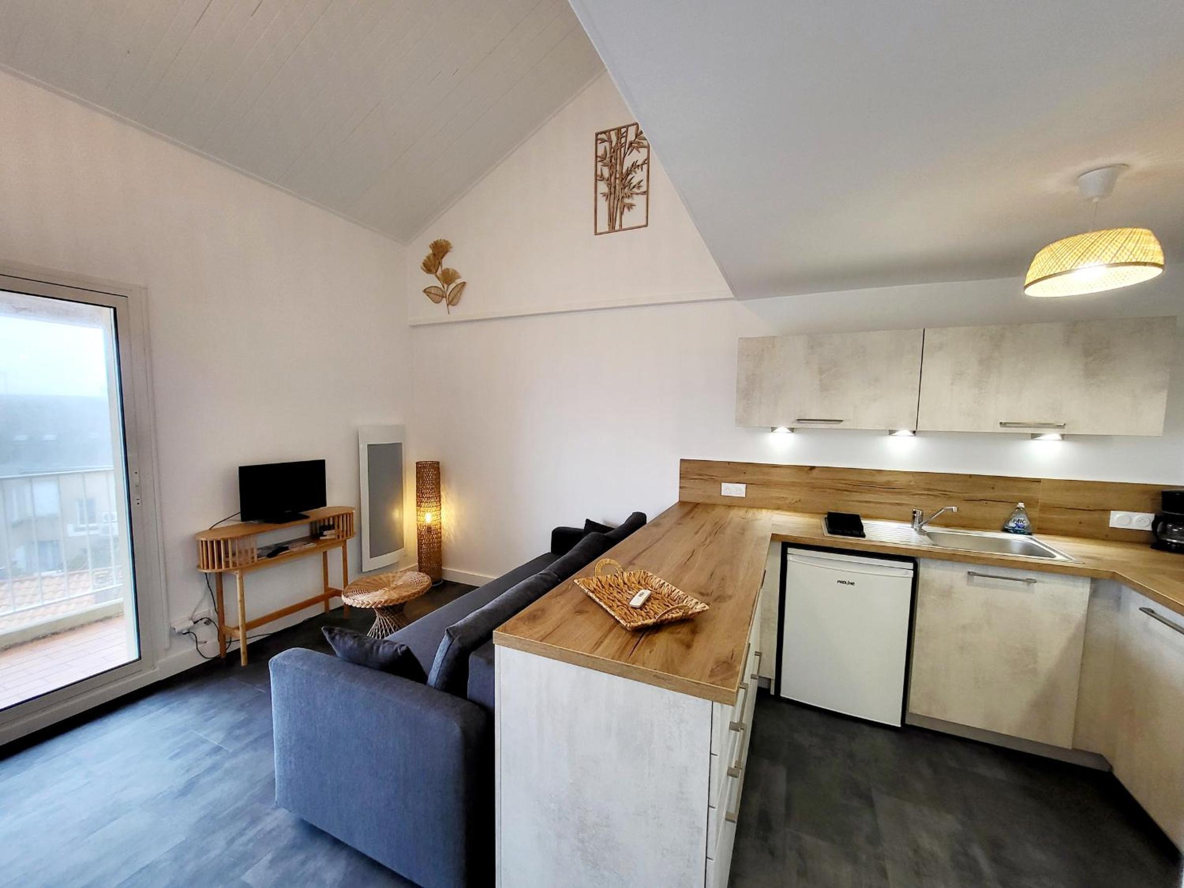 Studio Moderne avec Parking, Proche Plage et Marché Arago - FR-1-92-577 view 3