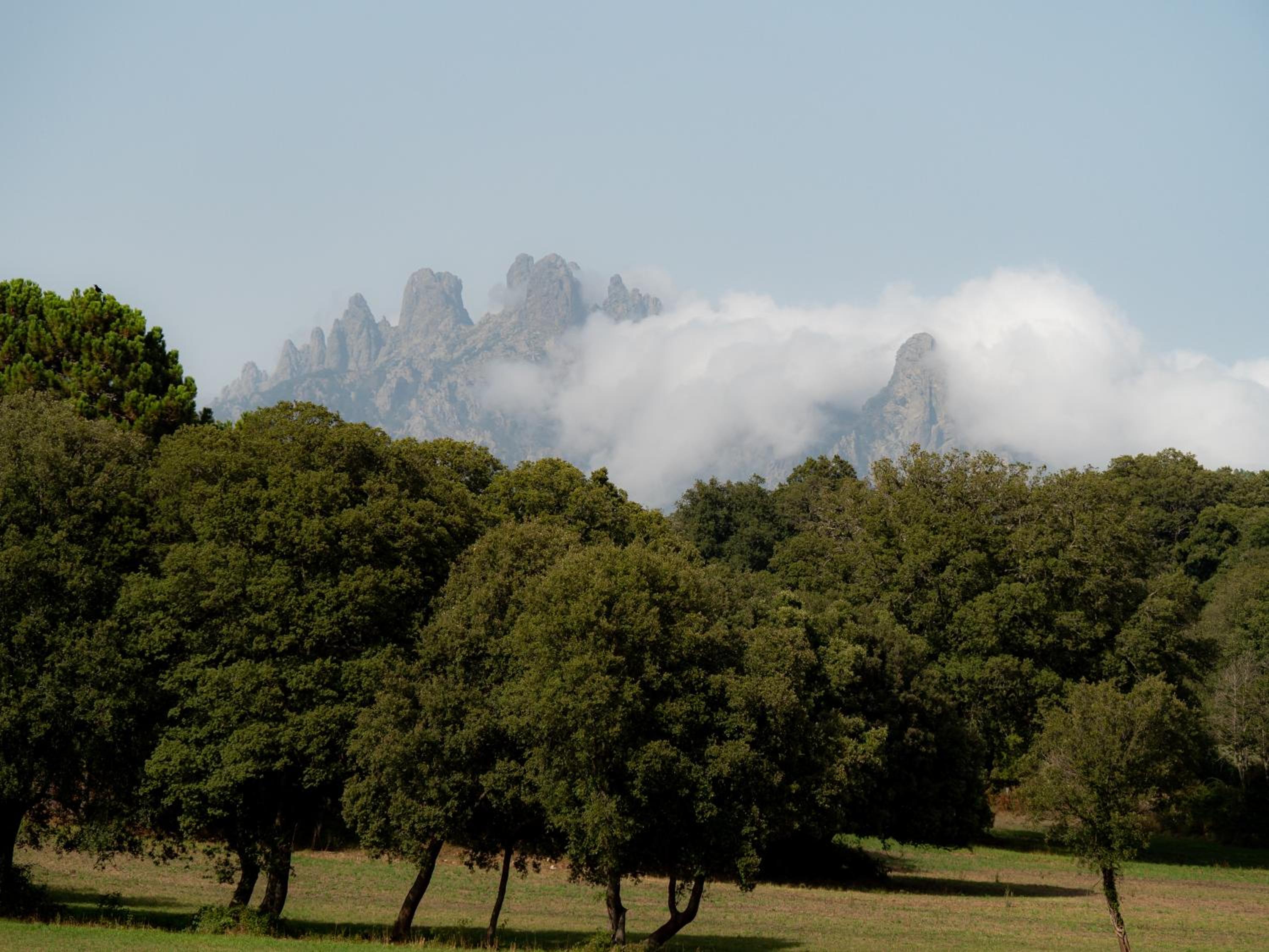 Village Del Mar - Corse