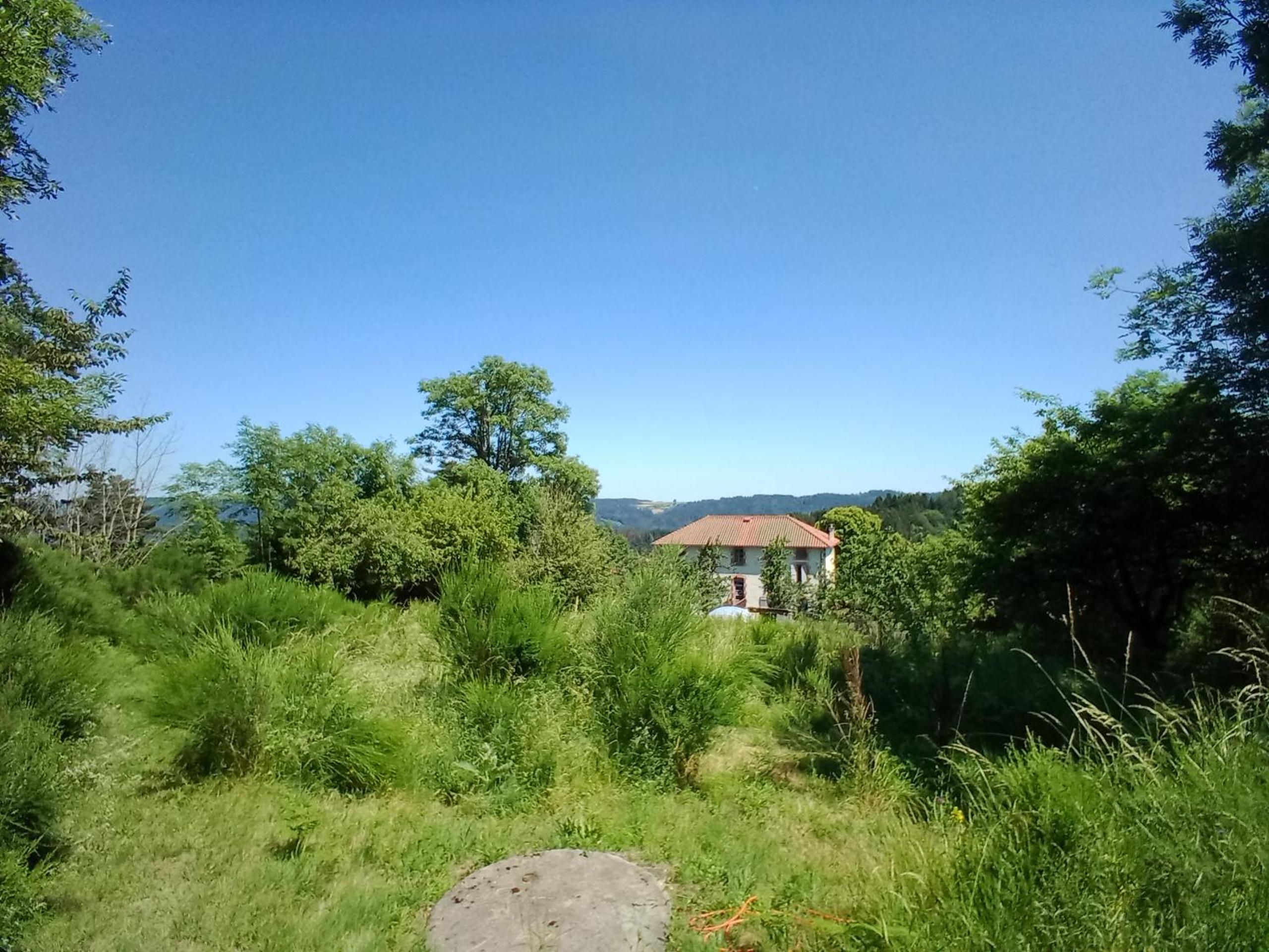 Photo 41