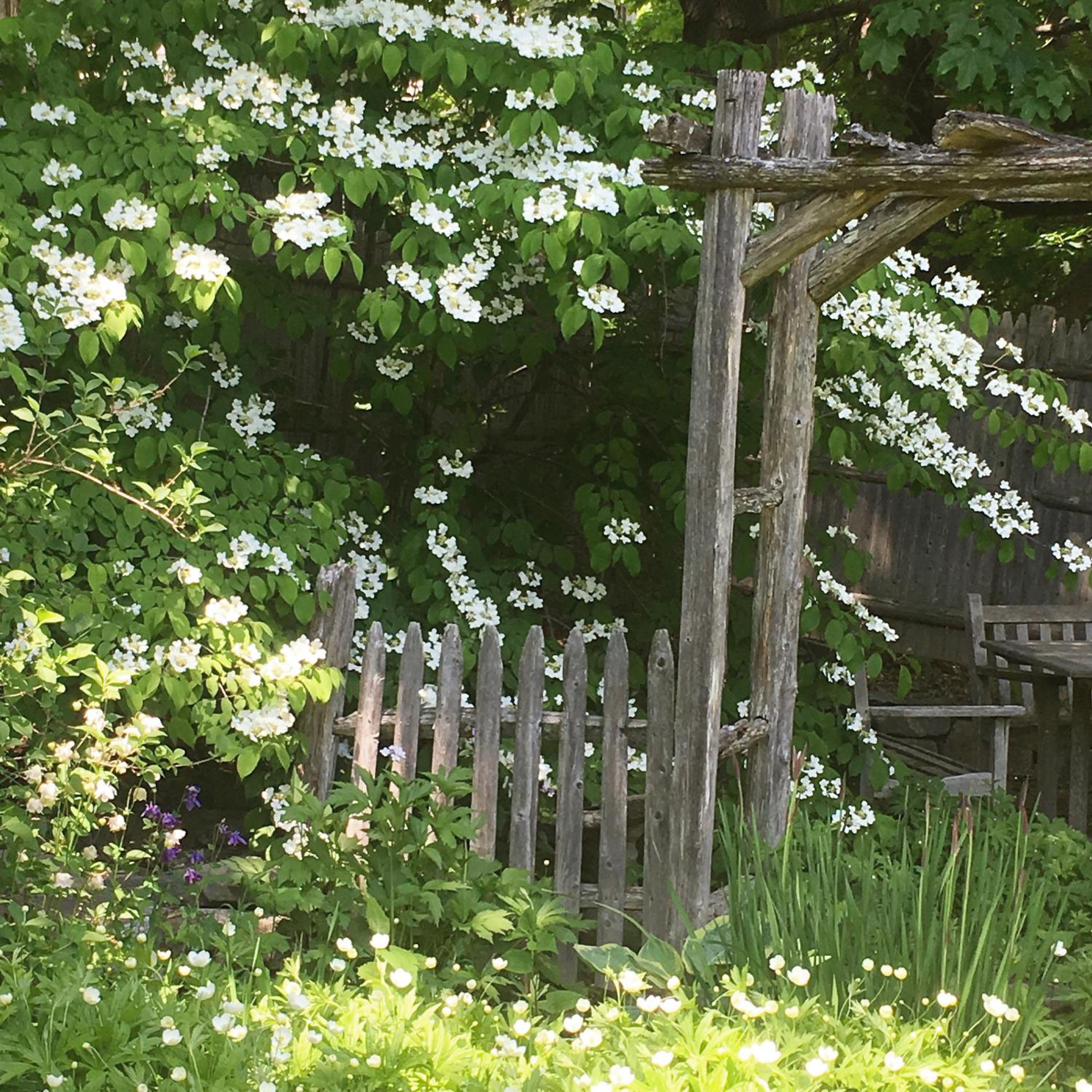Photo 42