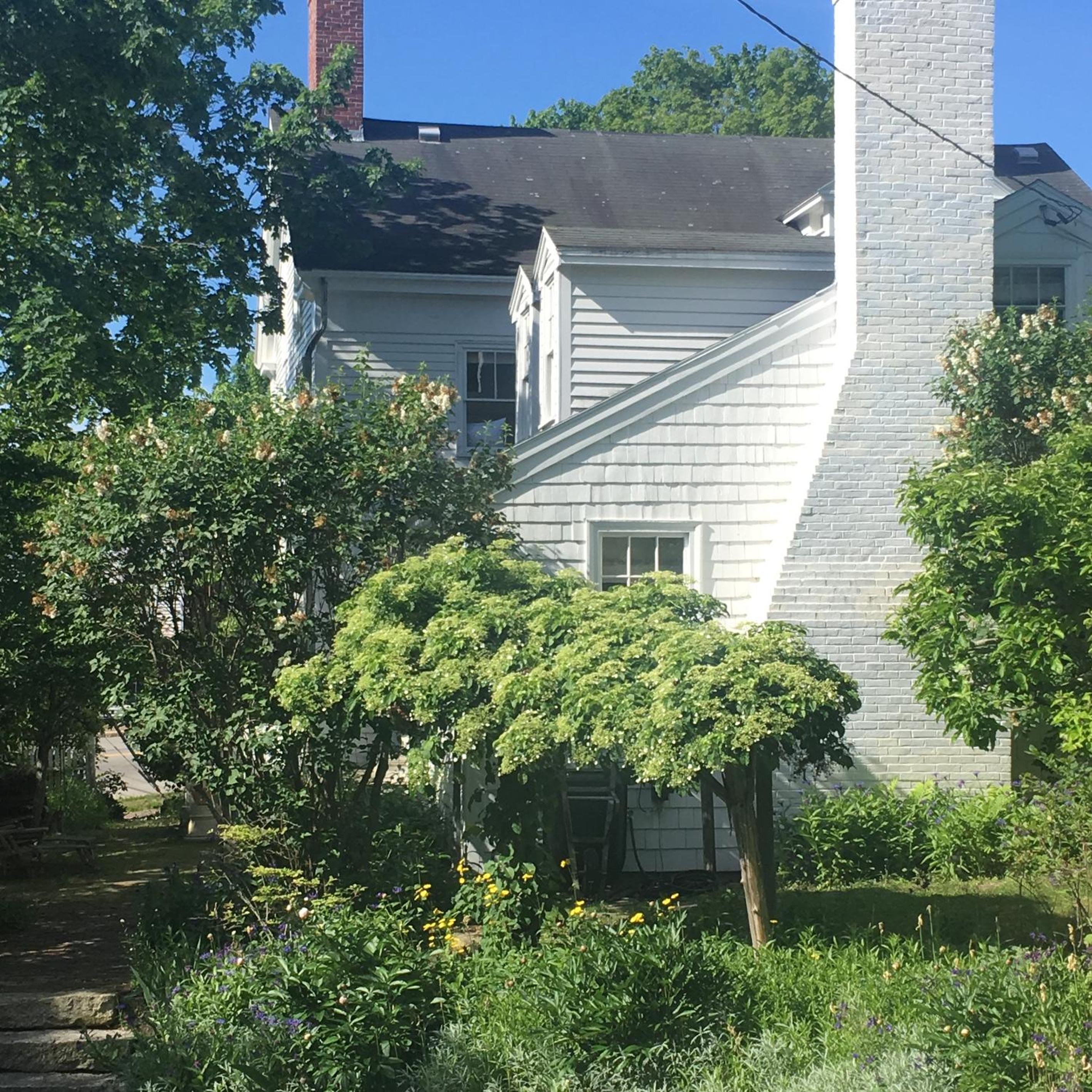 Photo 41