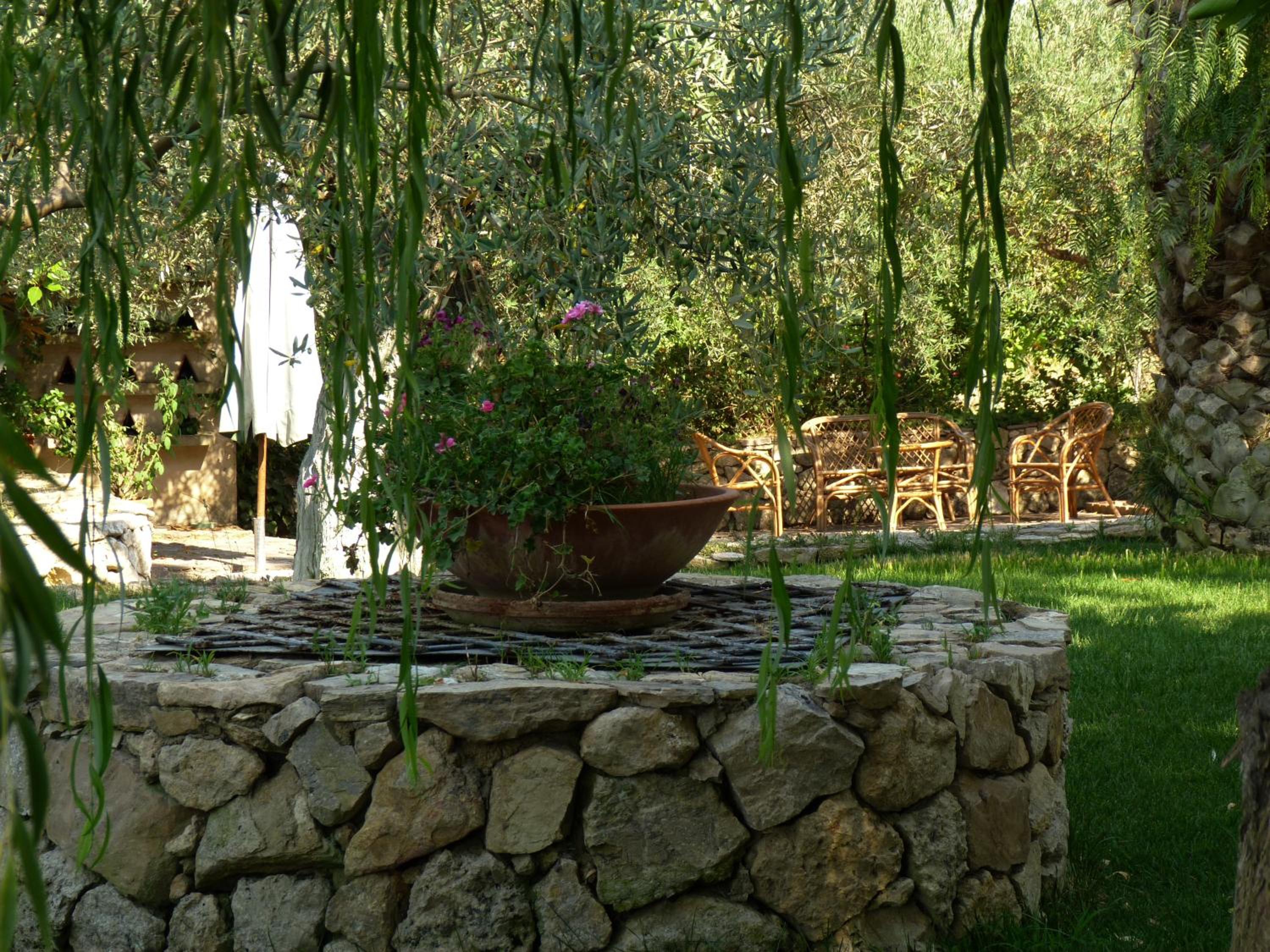 Poggio Delle Palme