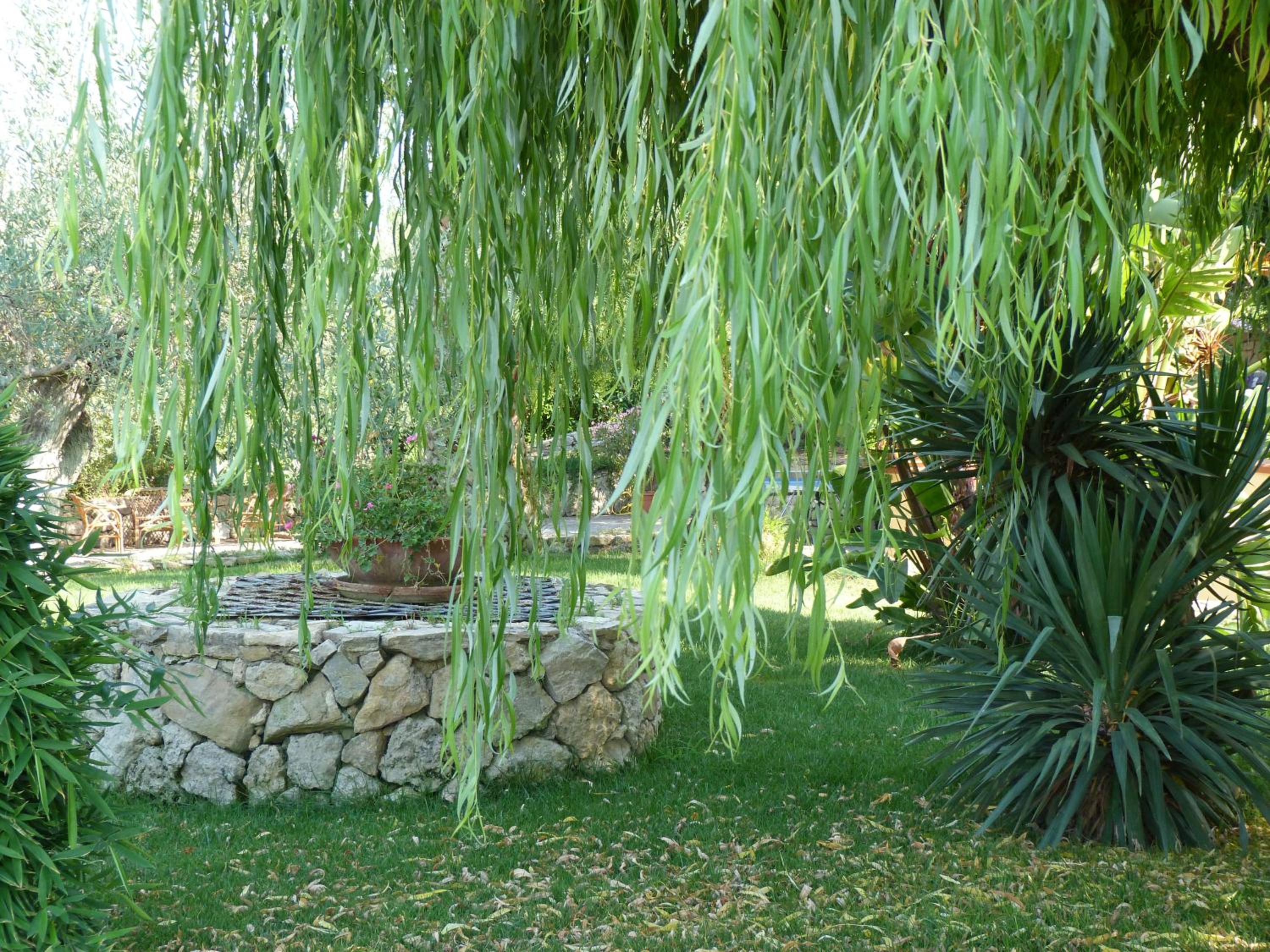 Poggio Delle Palme