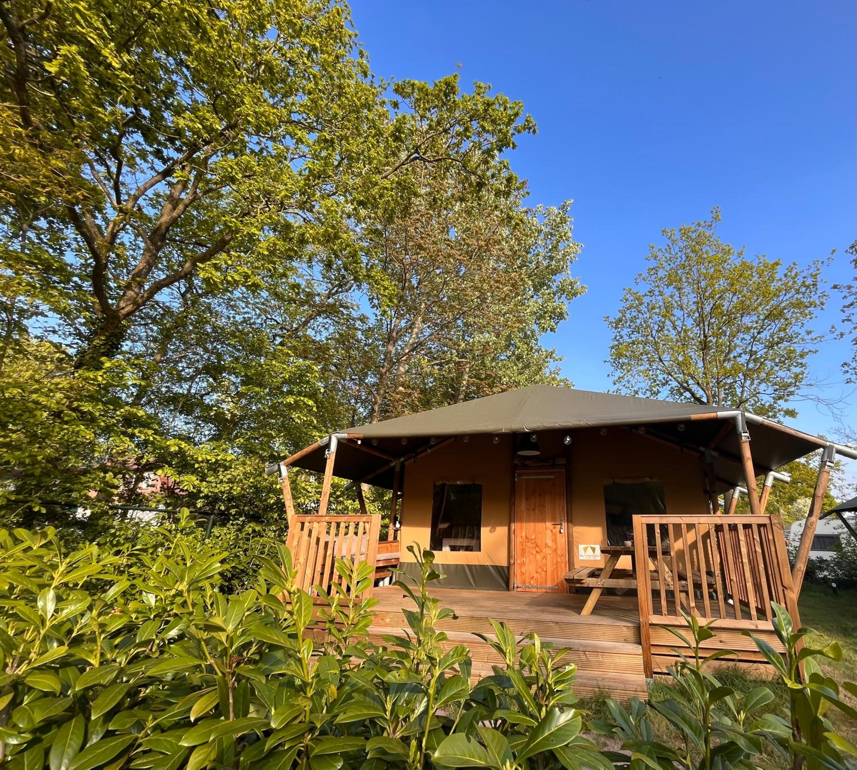 Luxe Safaritent 6 persoons op Camping Rijsterbos view 2