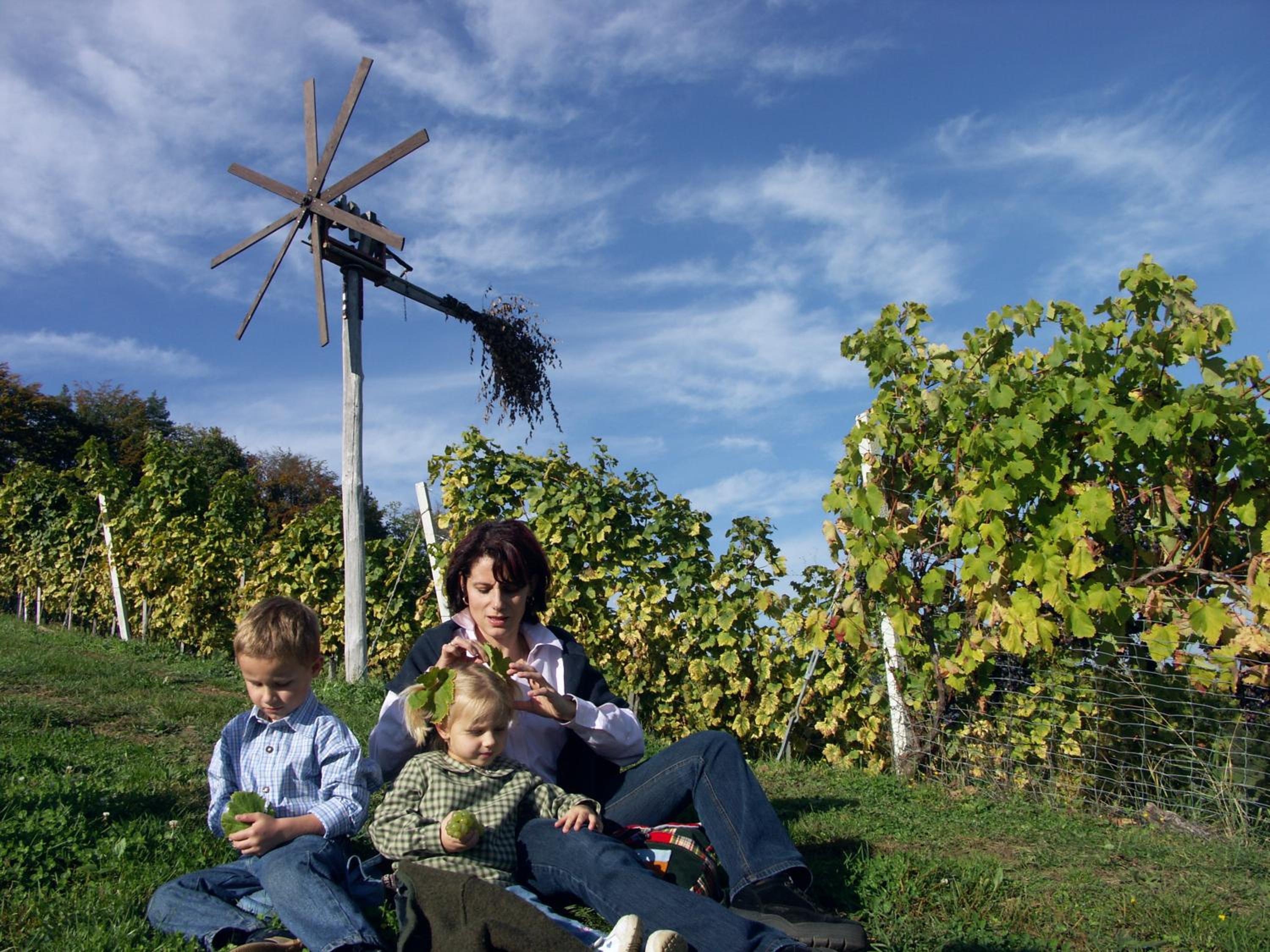 Weingut-Gästehaus Birnstingl