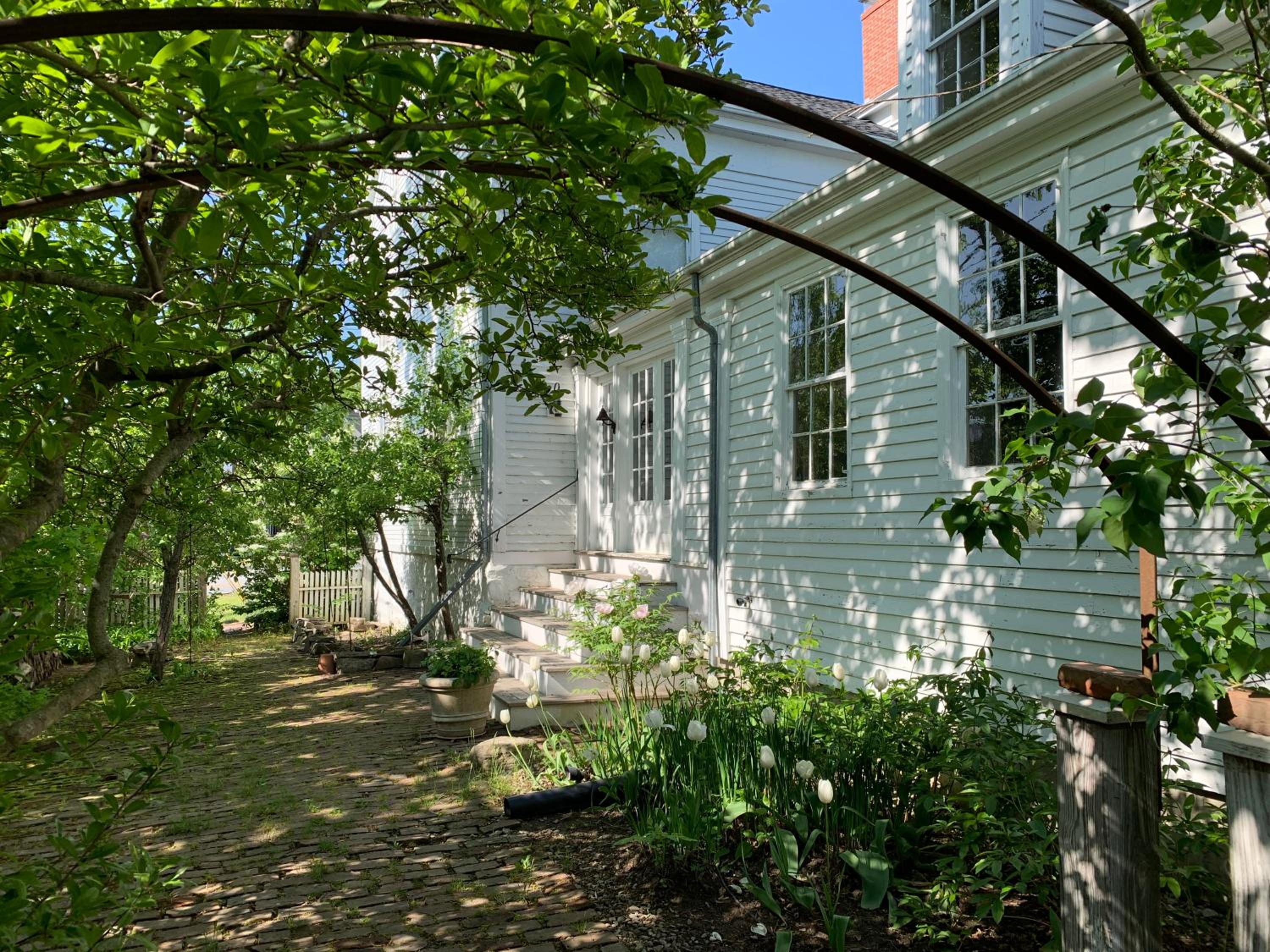 Photo 11
