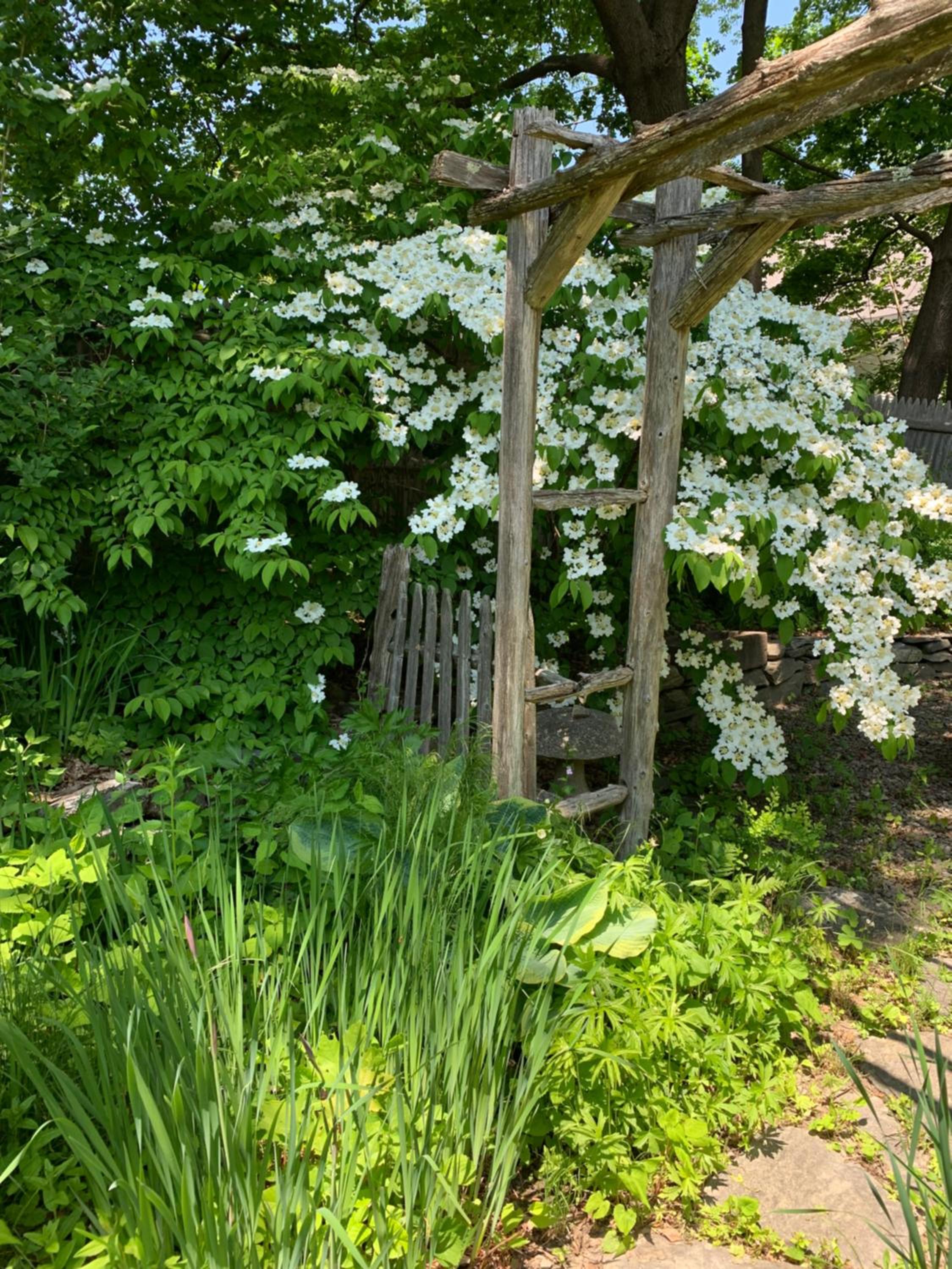 Marston House Wiscasset view 4