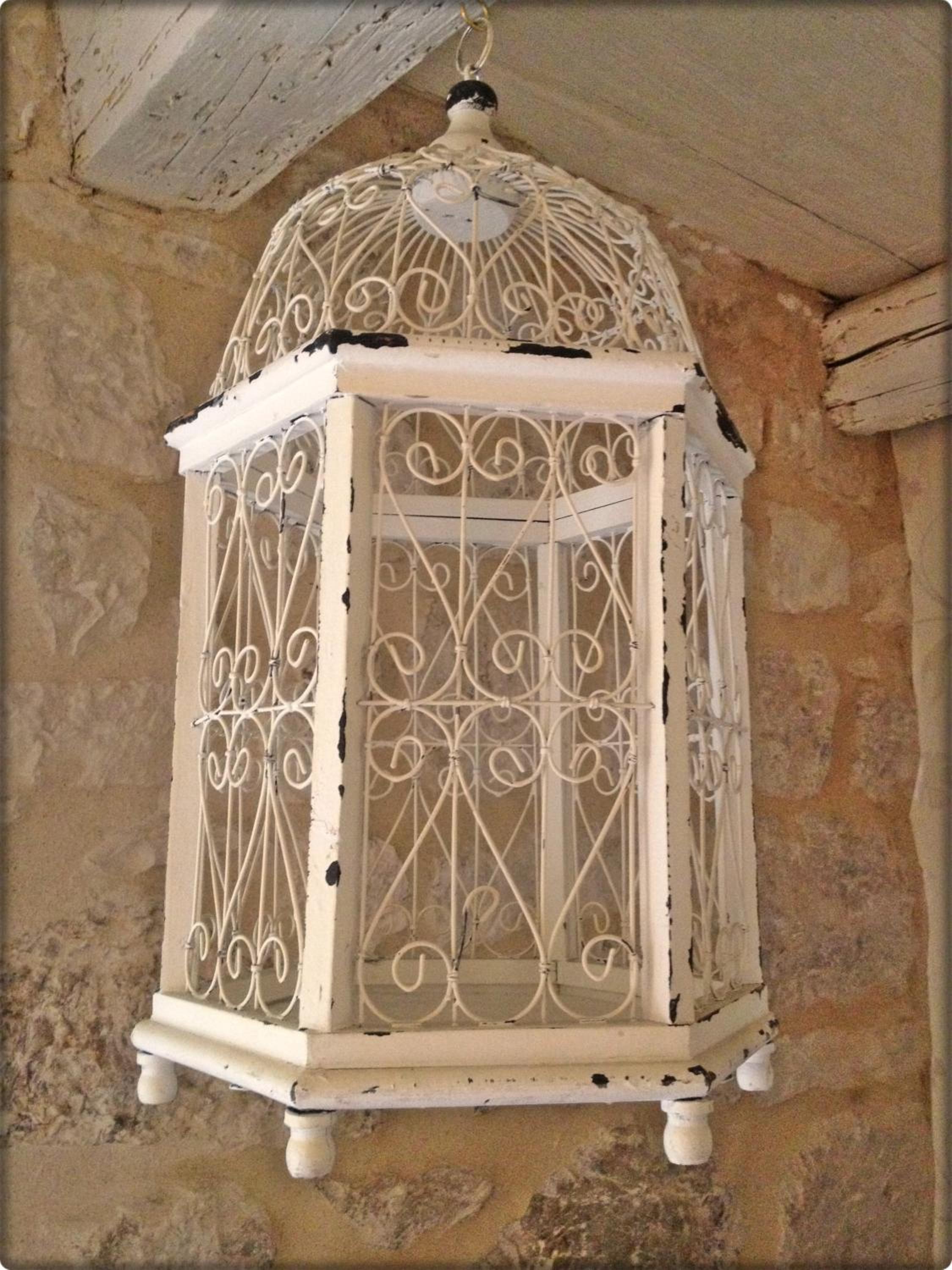 Photo 47