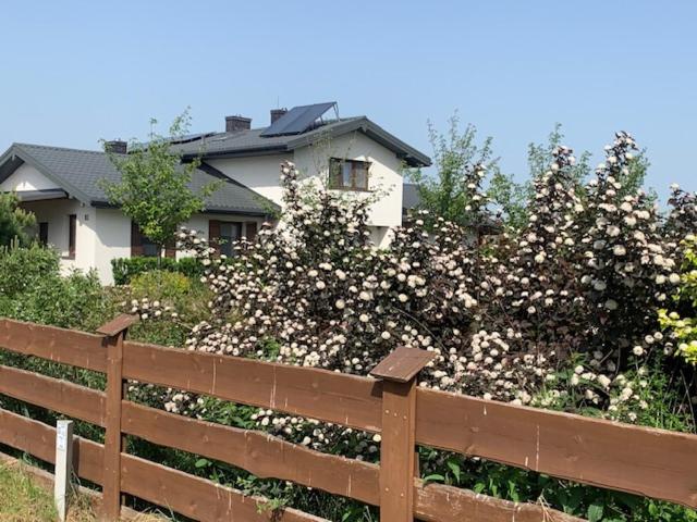 Photo 30