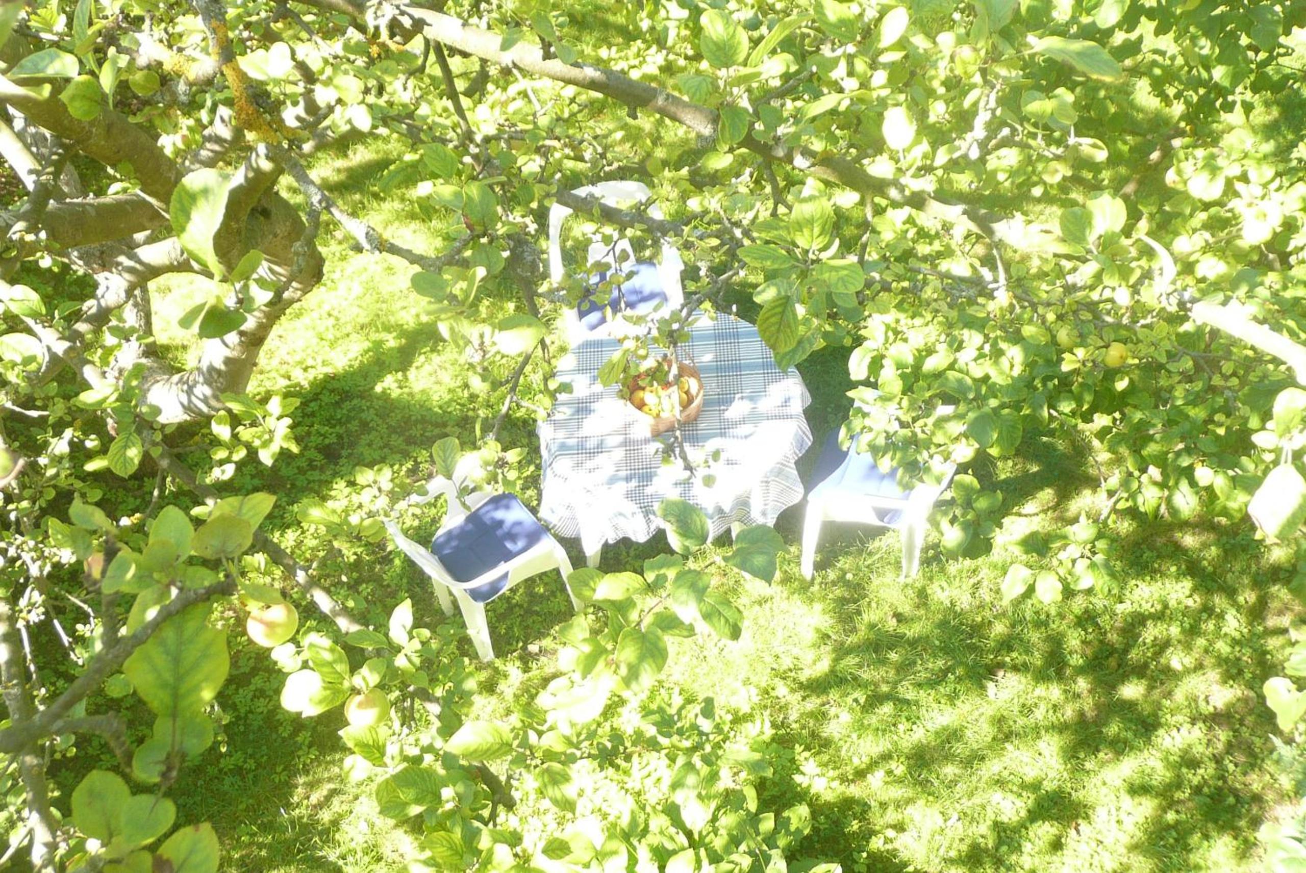 Romantiška senamiesčio mansarda view 5