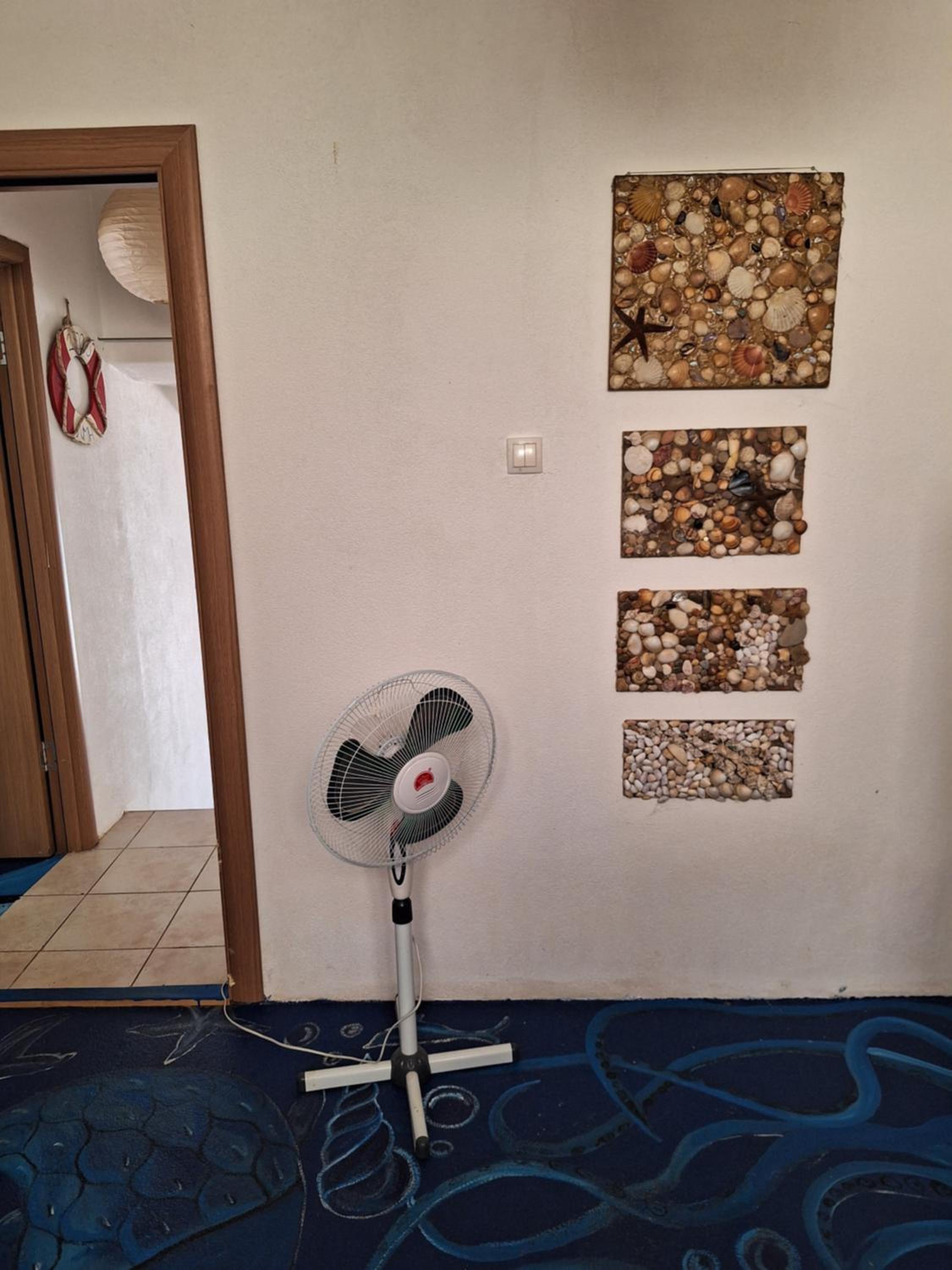 Photo 51