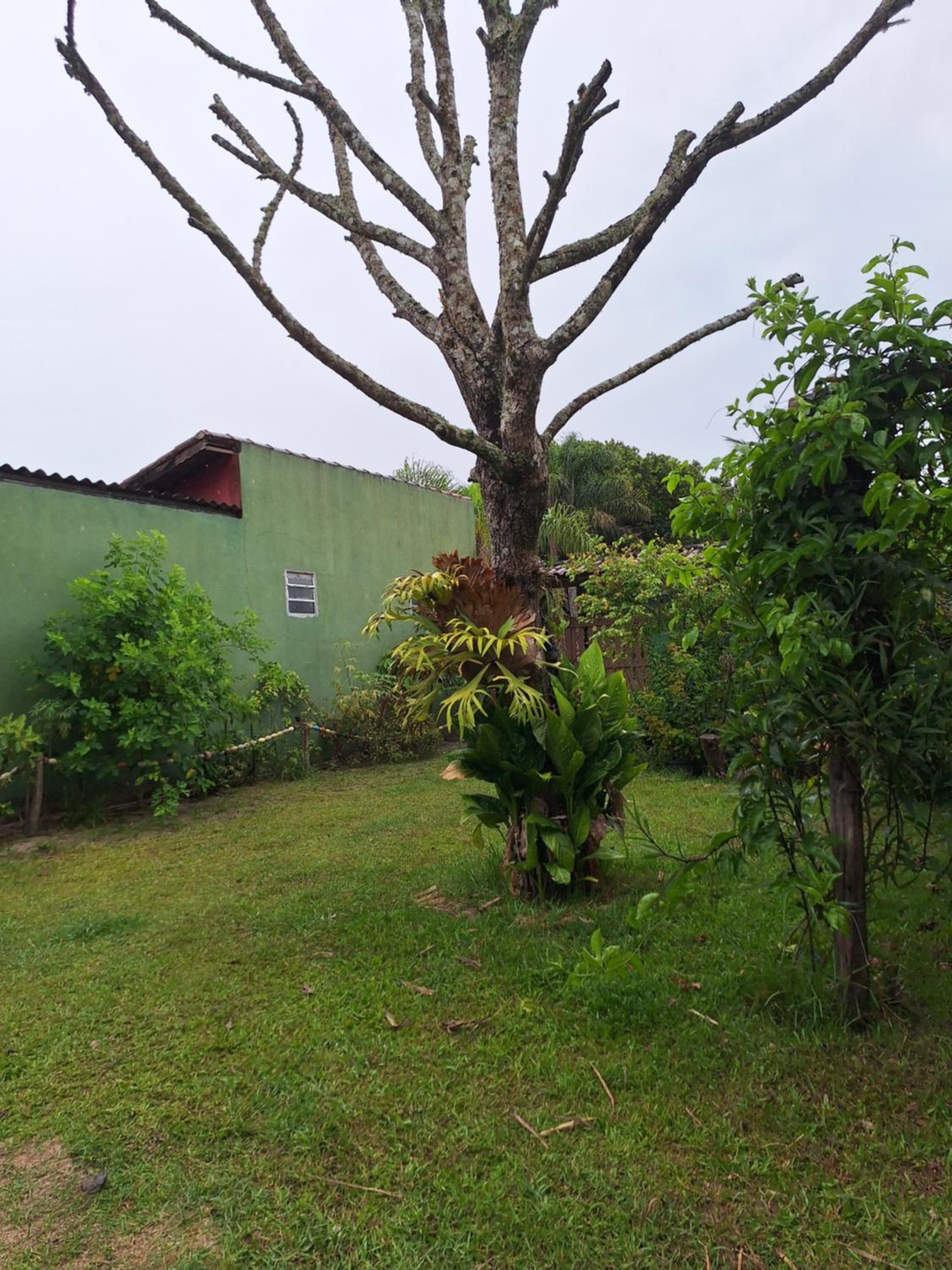 Photo 31