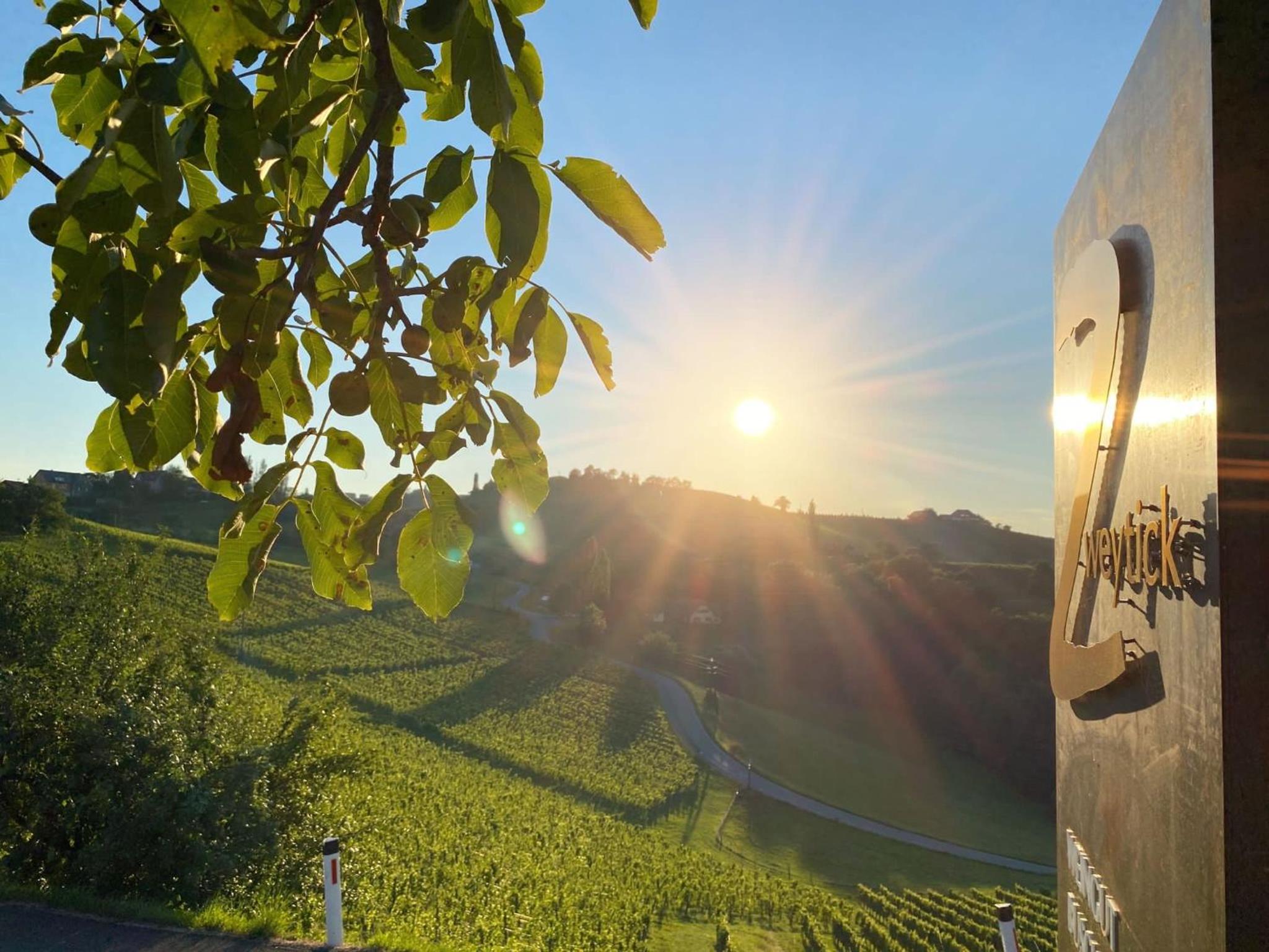 Zweytick Gästezimmer Weingut