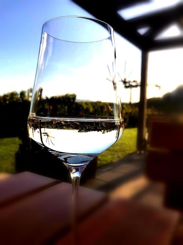 Zweytick Gästezimmer Weingut