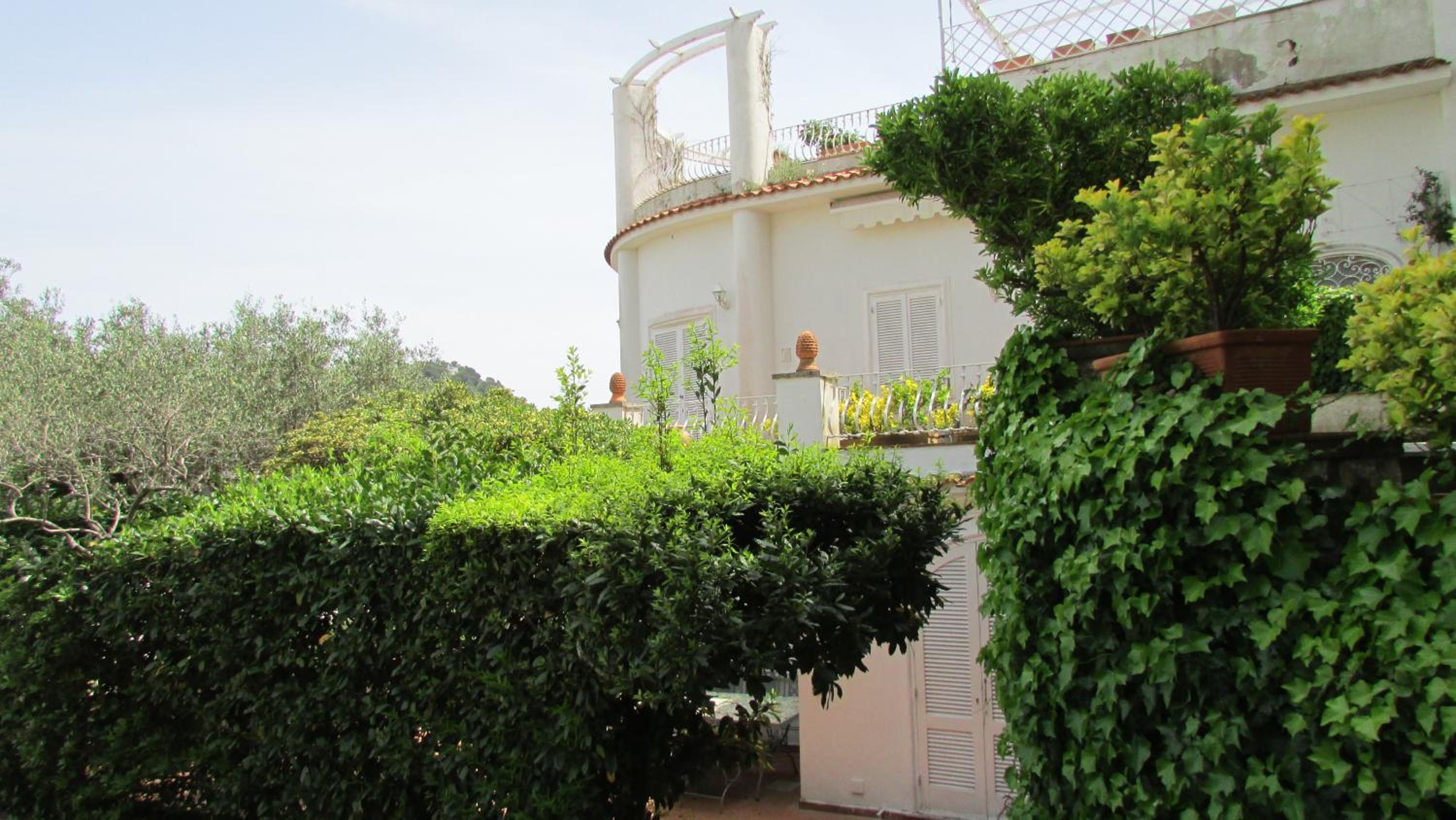 Photo 40
