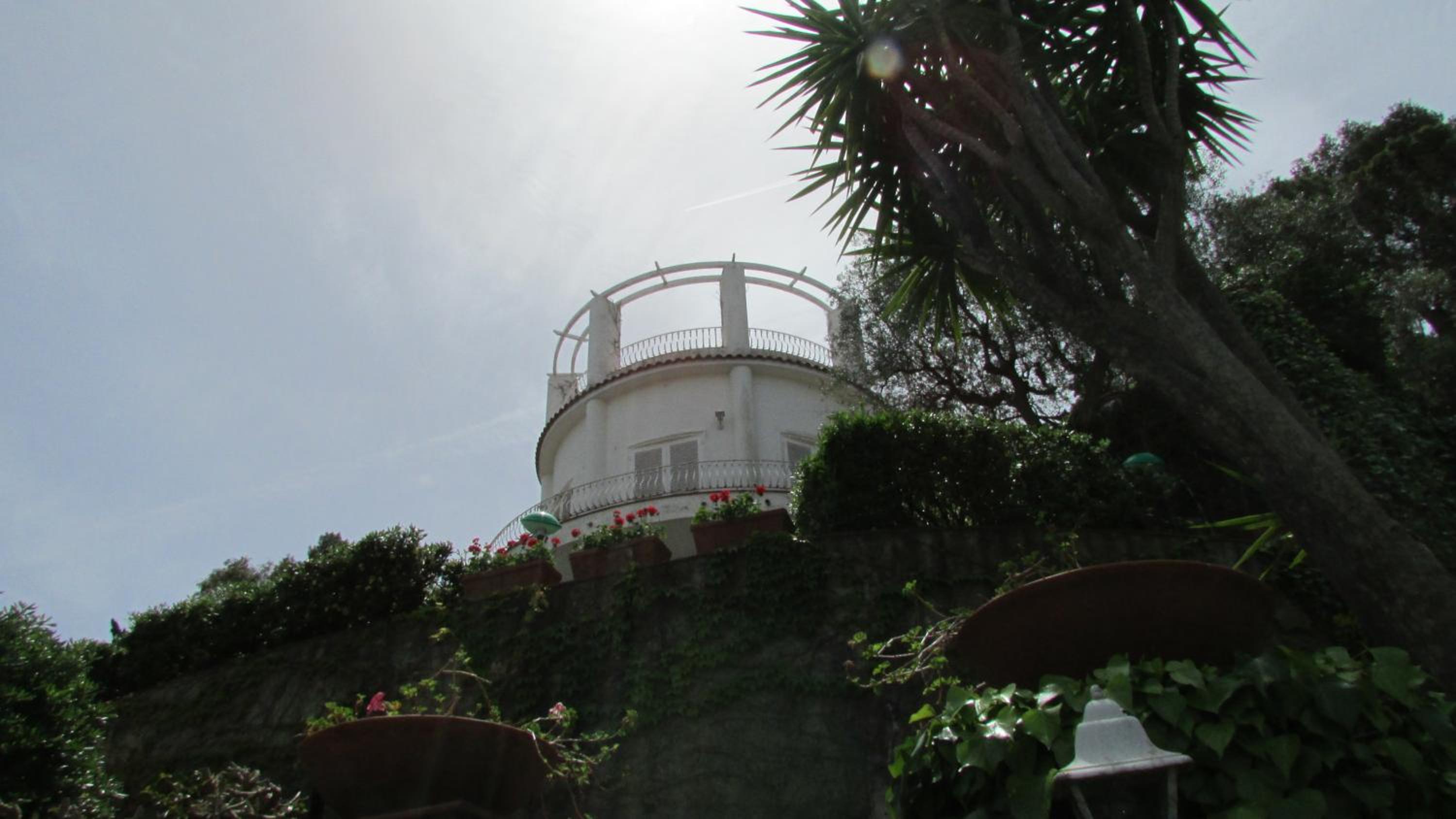 Photo 44