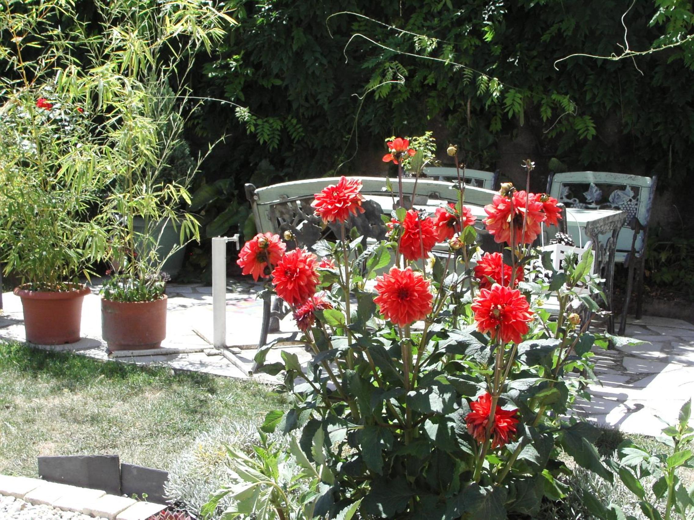 Photo 29