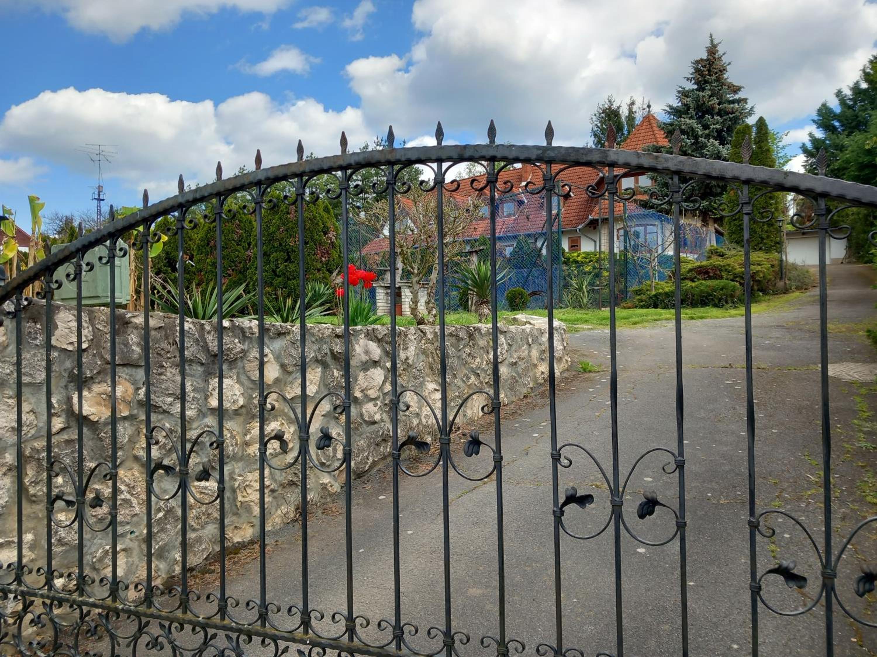 Photo 41