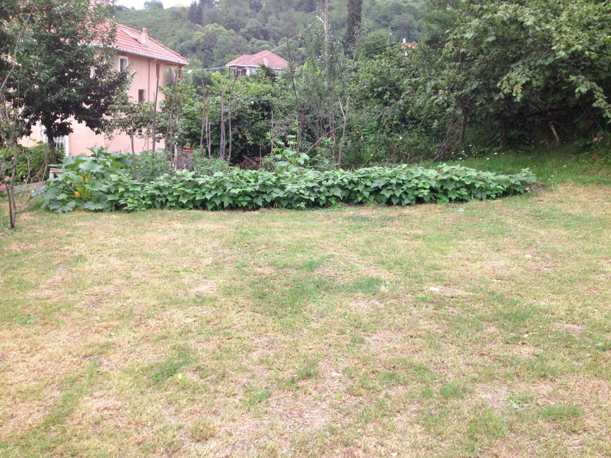 Photo 35
